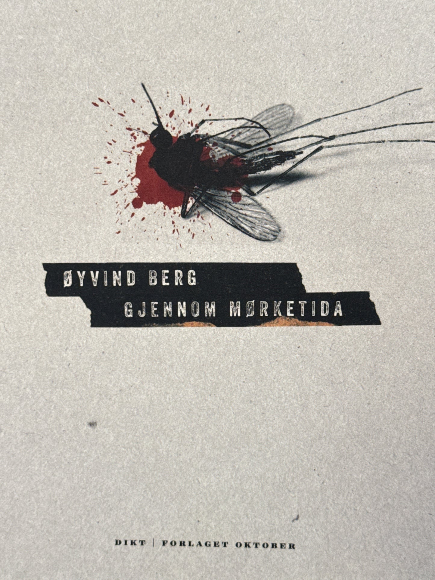 Gjennom mørketida - Innbundet
