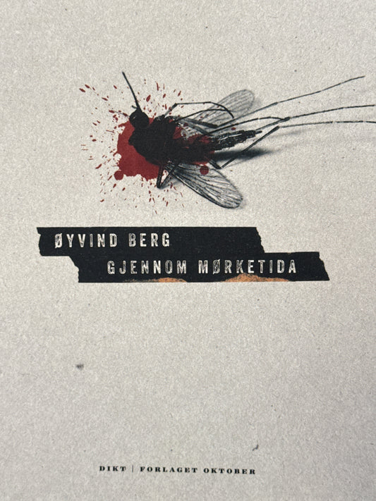 Gjennom mørketida - Innbundet