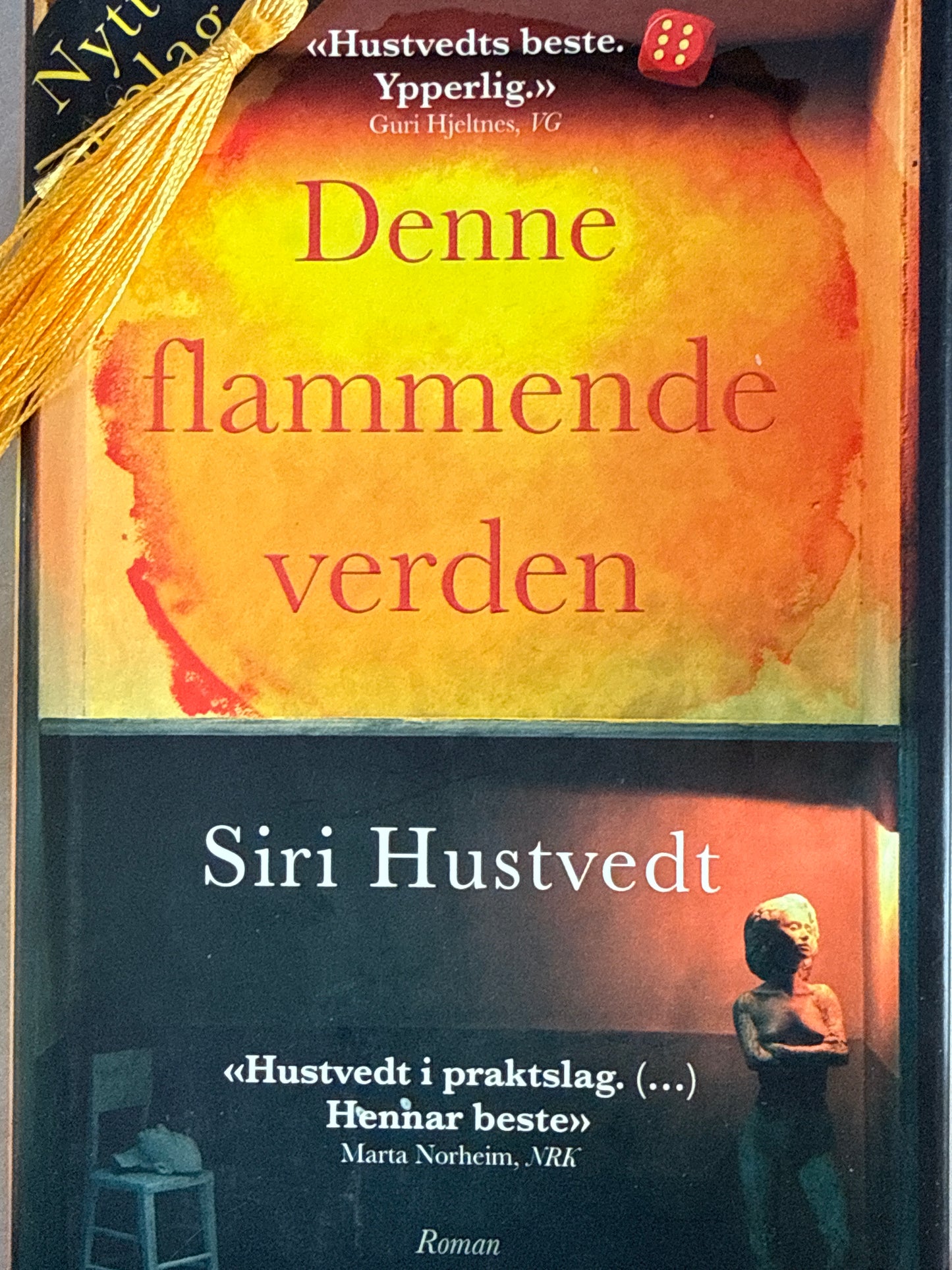 Denne flammende verden - Innbundet
