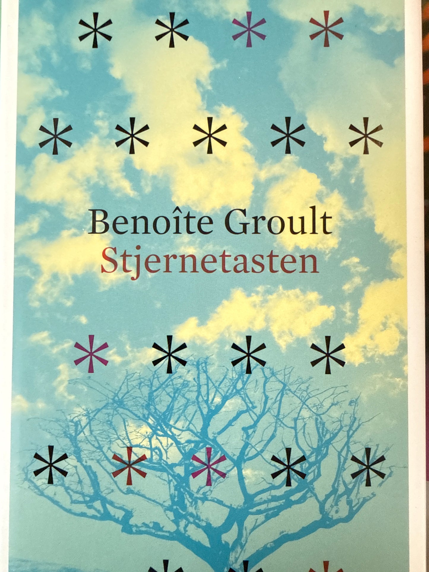 Stjernetasten - Innbundet