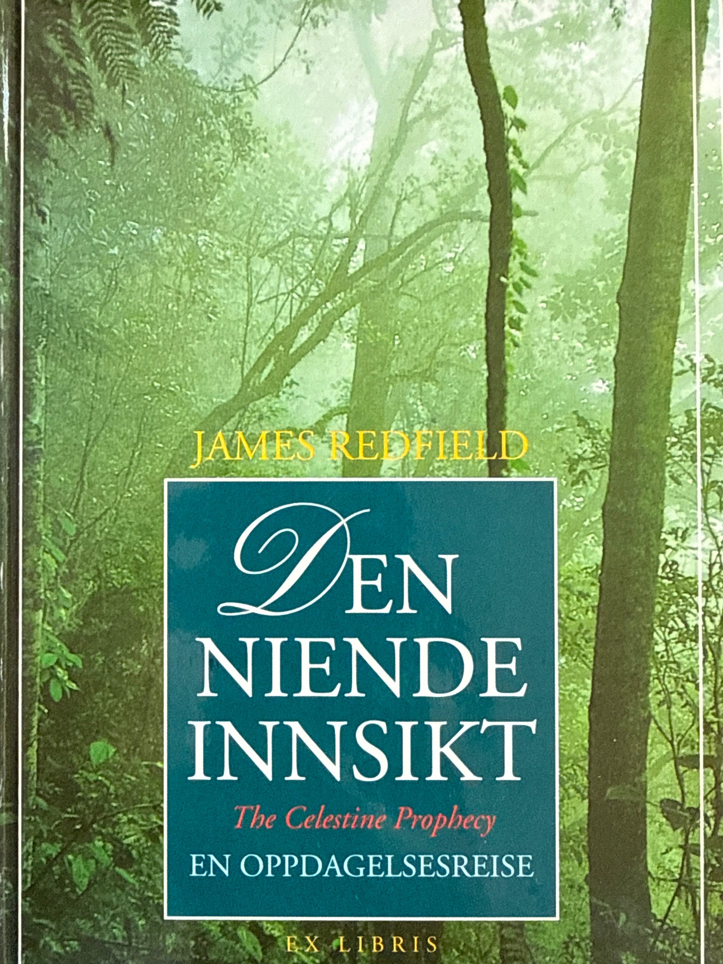 Den niende innsikt - Innbundet