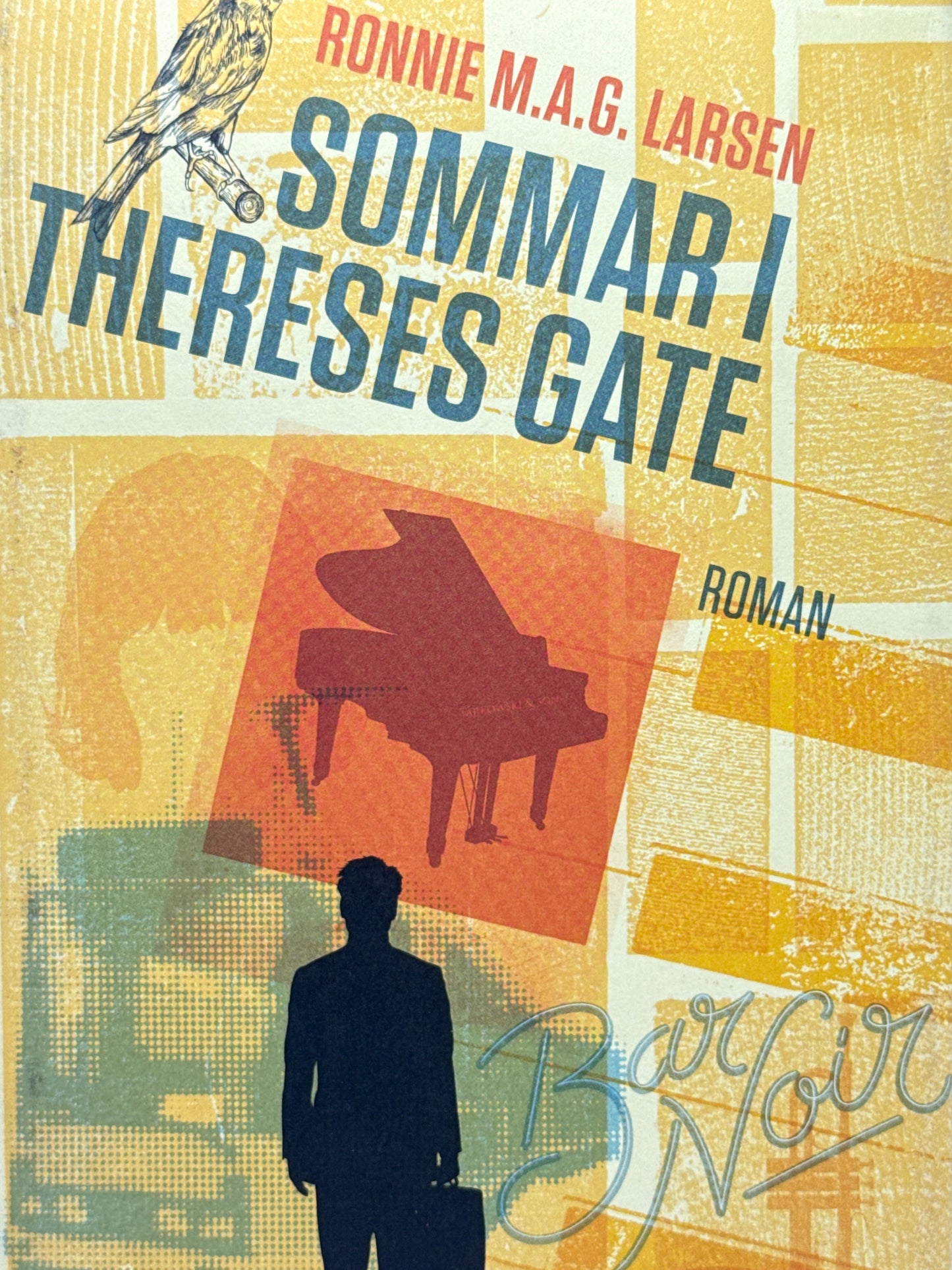 Sommar i Thereses gate - Innbundet