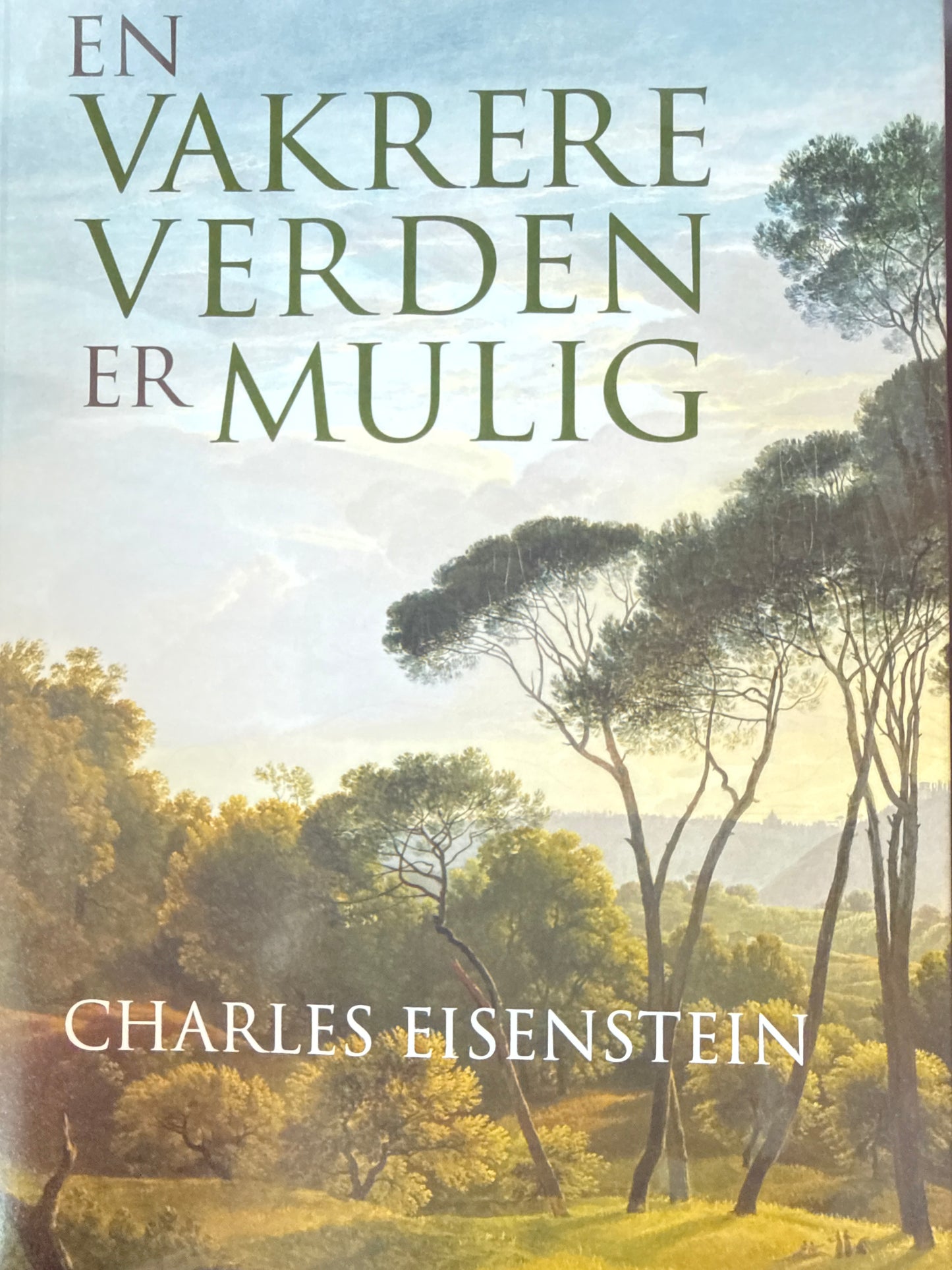 En vakrere verden er mulig - Pocket
