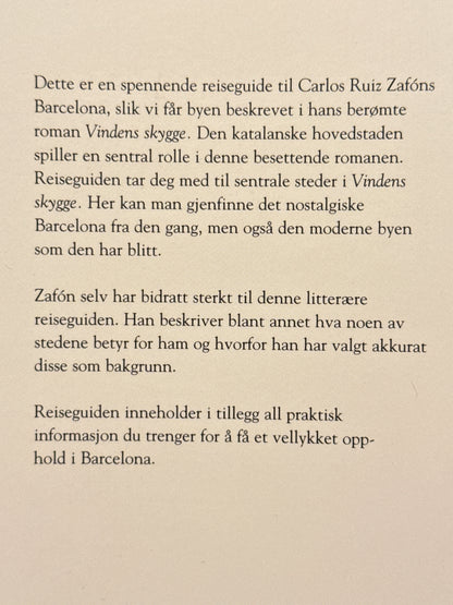 Vindens skygge - Pocket