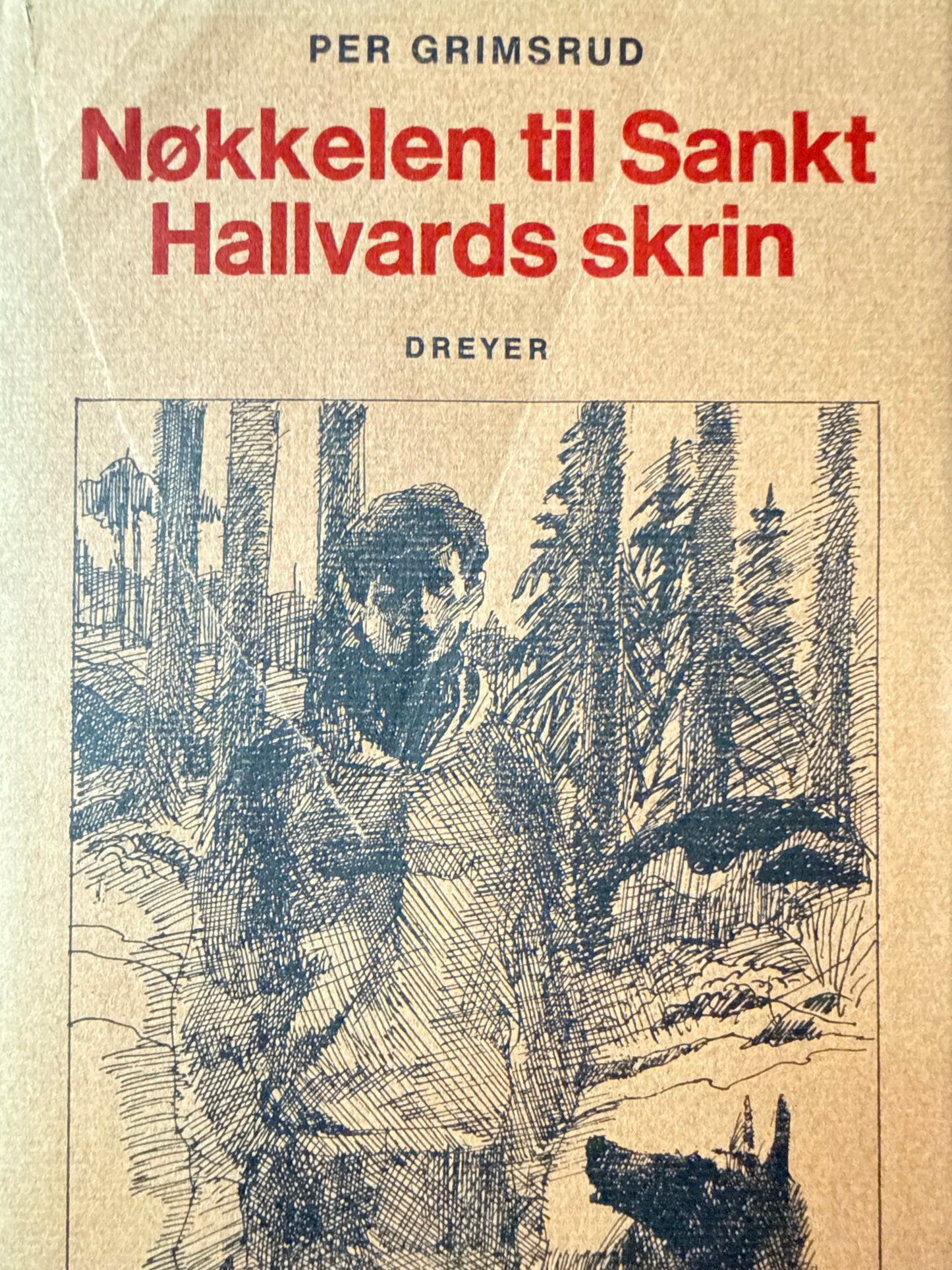 Nøkkelen til Sankt Hallvards skrin - Innbundet