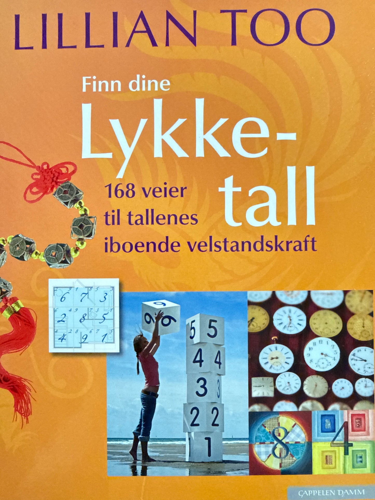 Finn dine lykketall - Innbundet