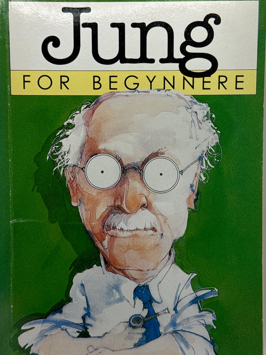 Jung for begynnere - Pocket