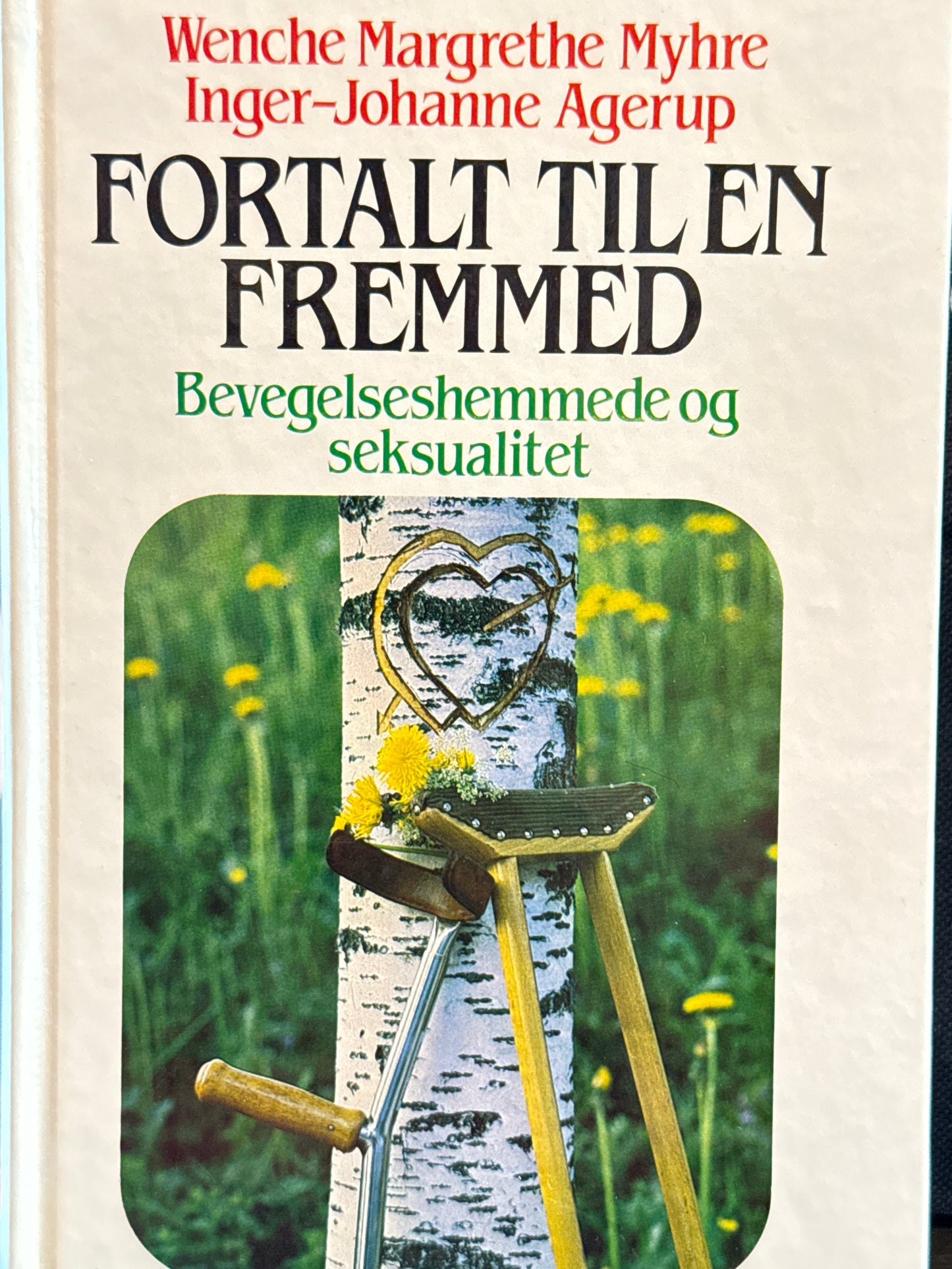 Fortalt til en fremmed - Innbundet