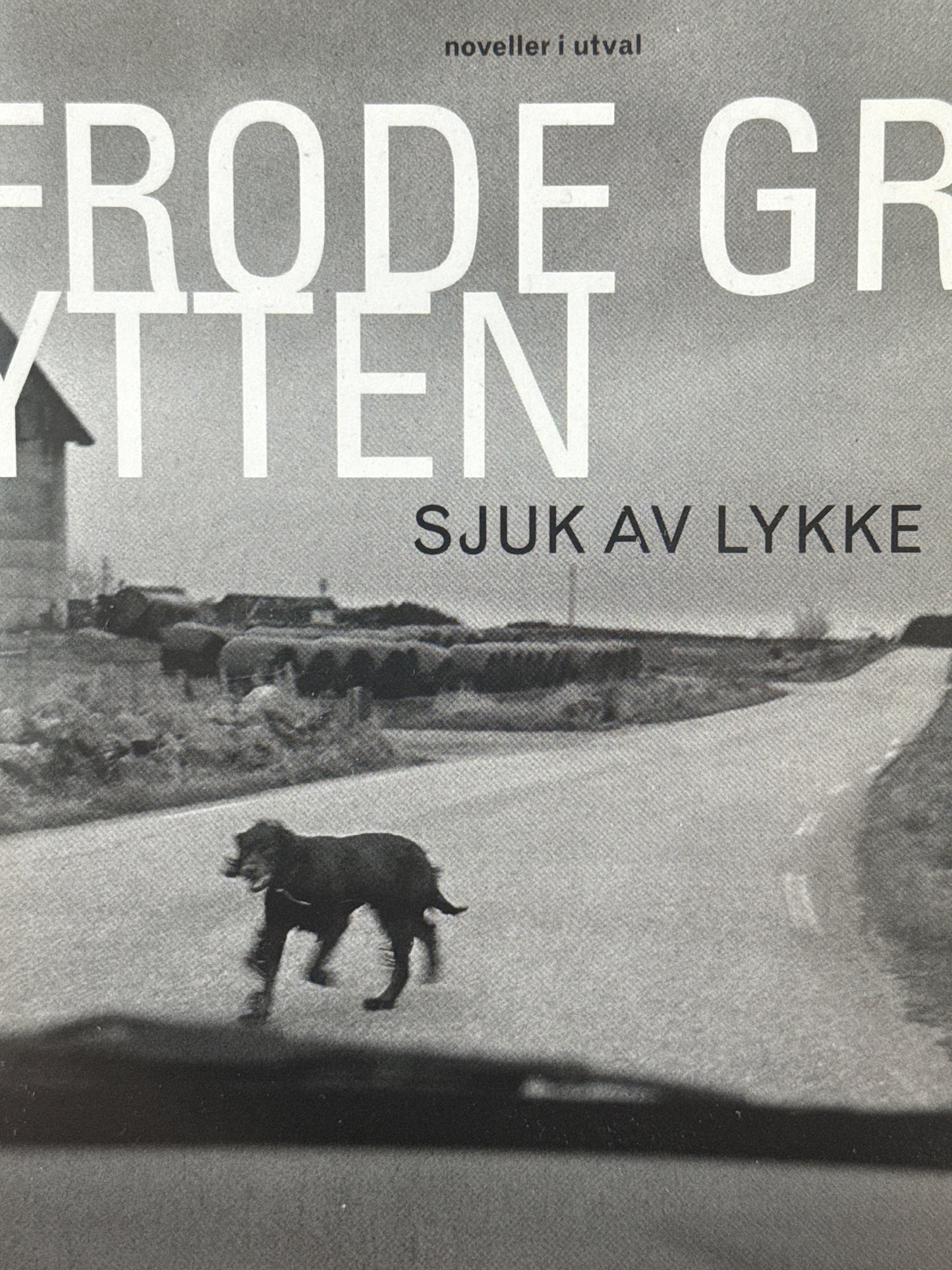 Sjuk av lykke - Pocket