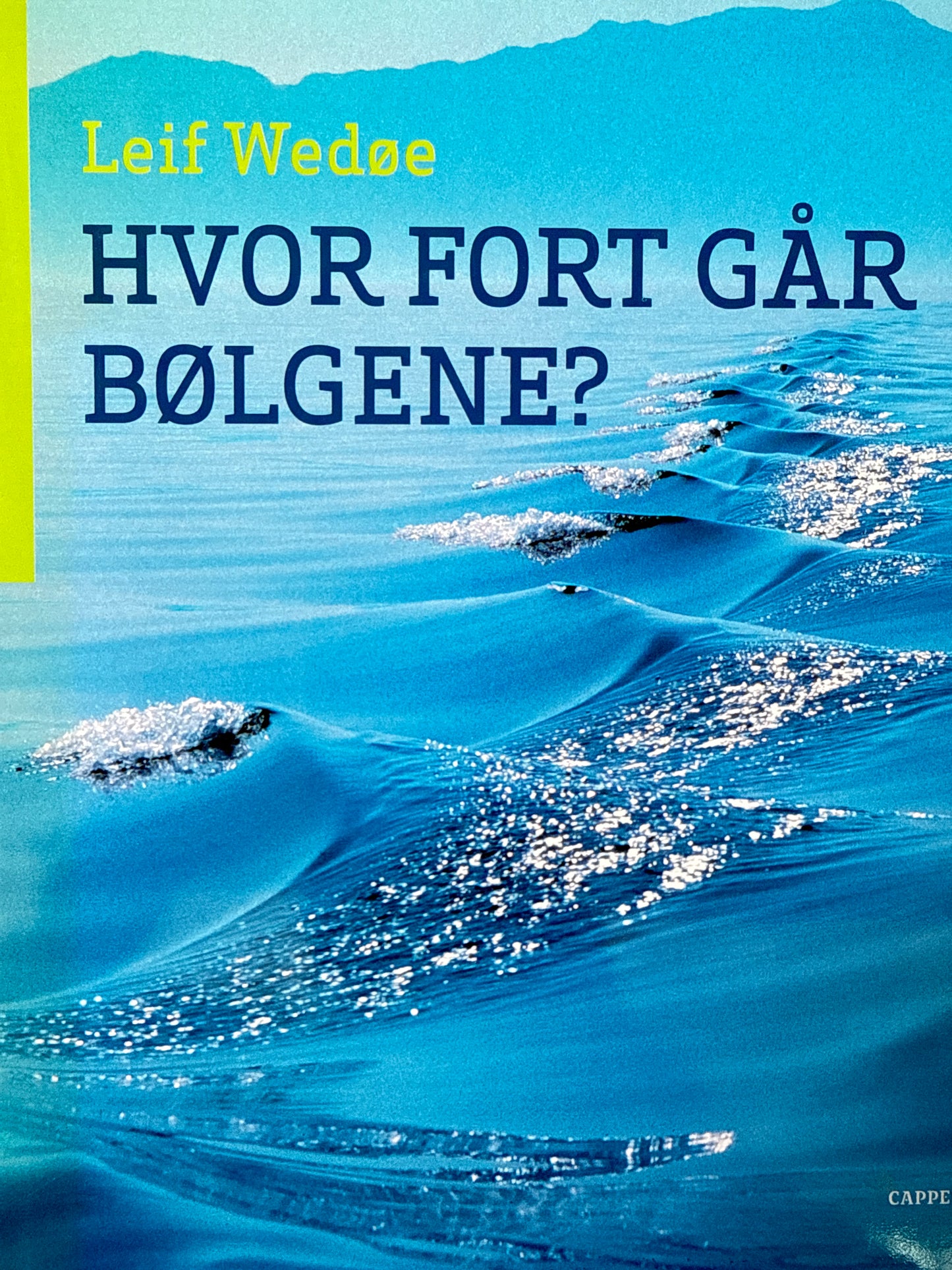 Hvor fort går bølgene? - Innbundet