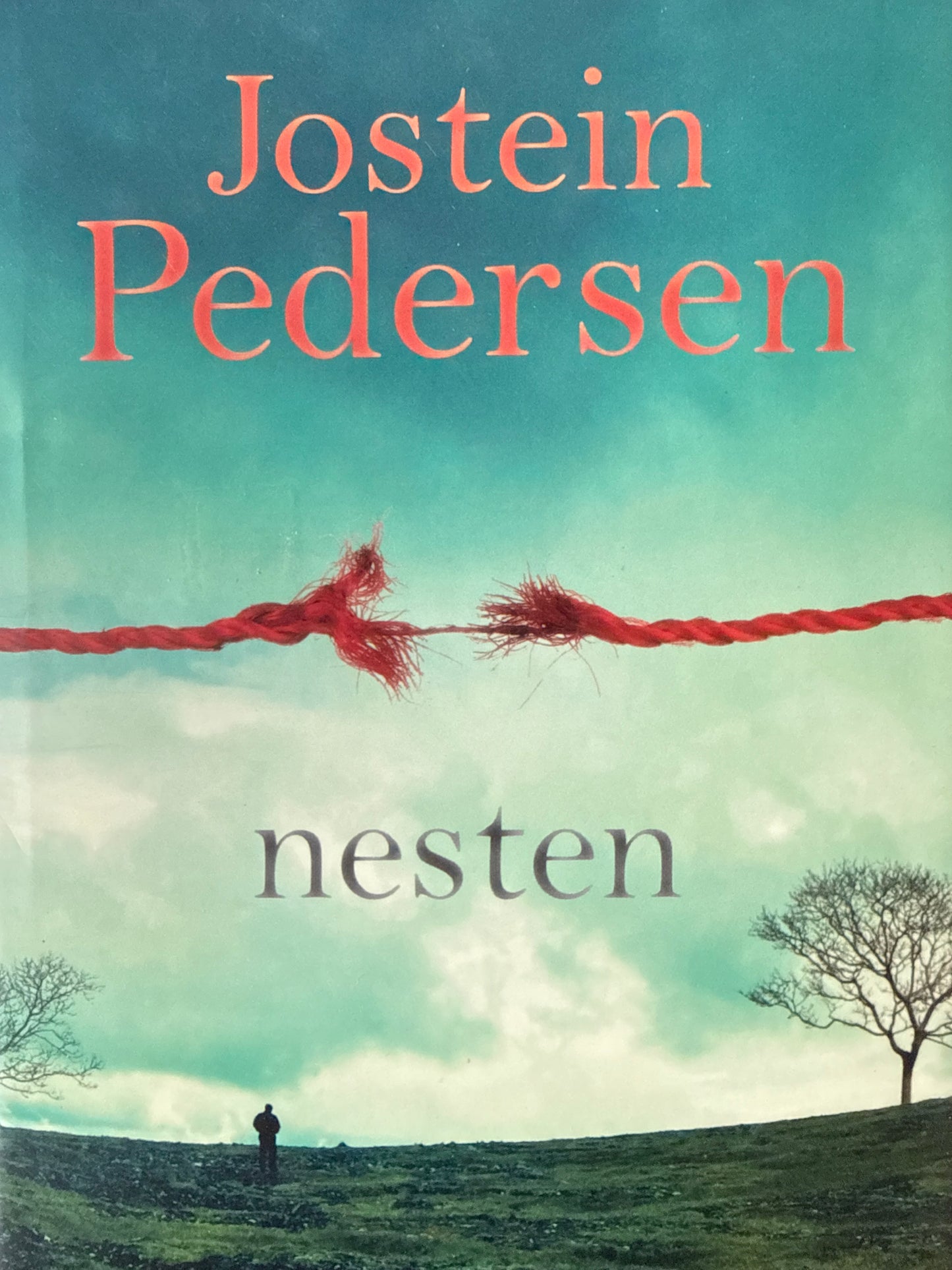 Nesten - Innbundet