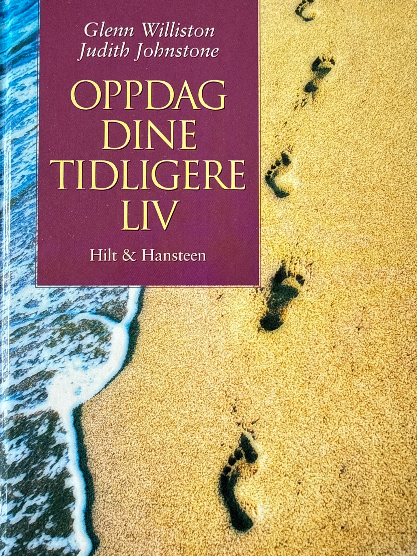 Oppdag dine tidligere liv - Innbundet