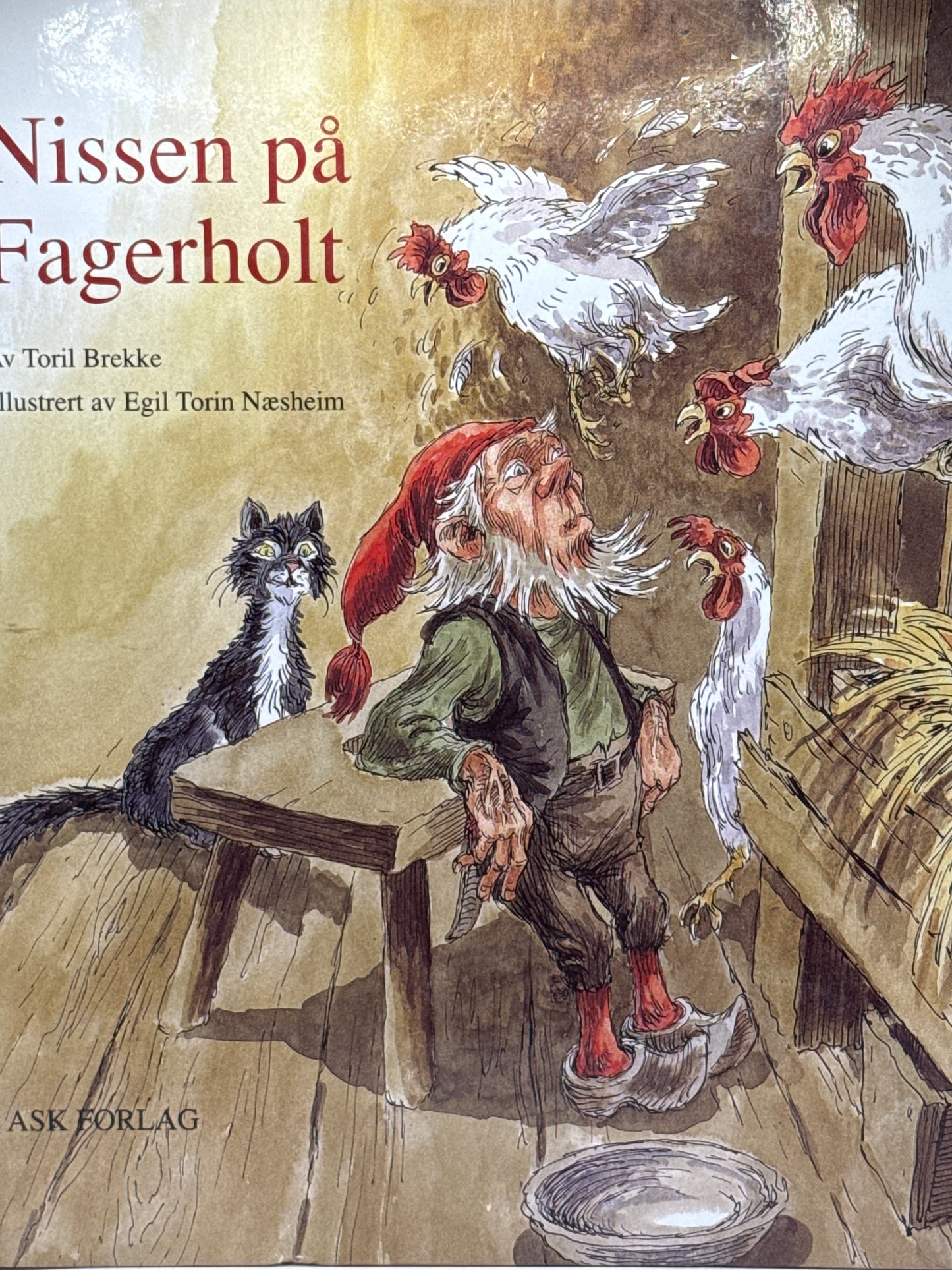 Nissen på Fagerholt - Innbundet