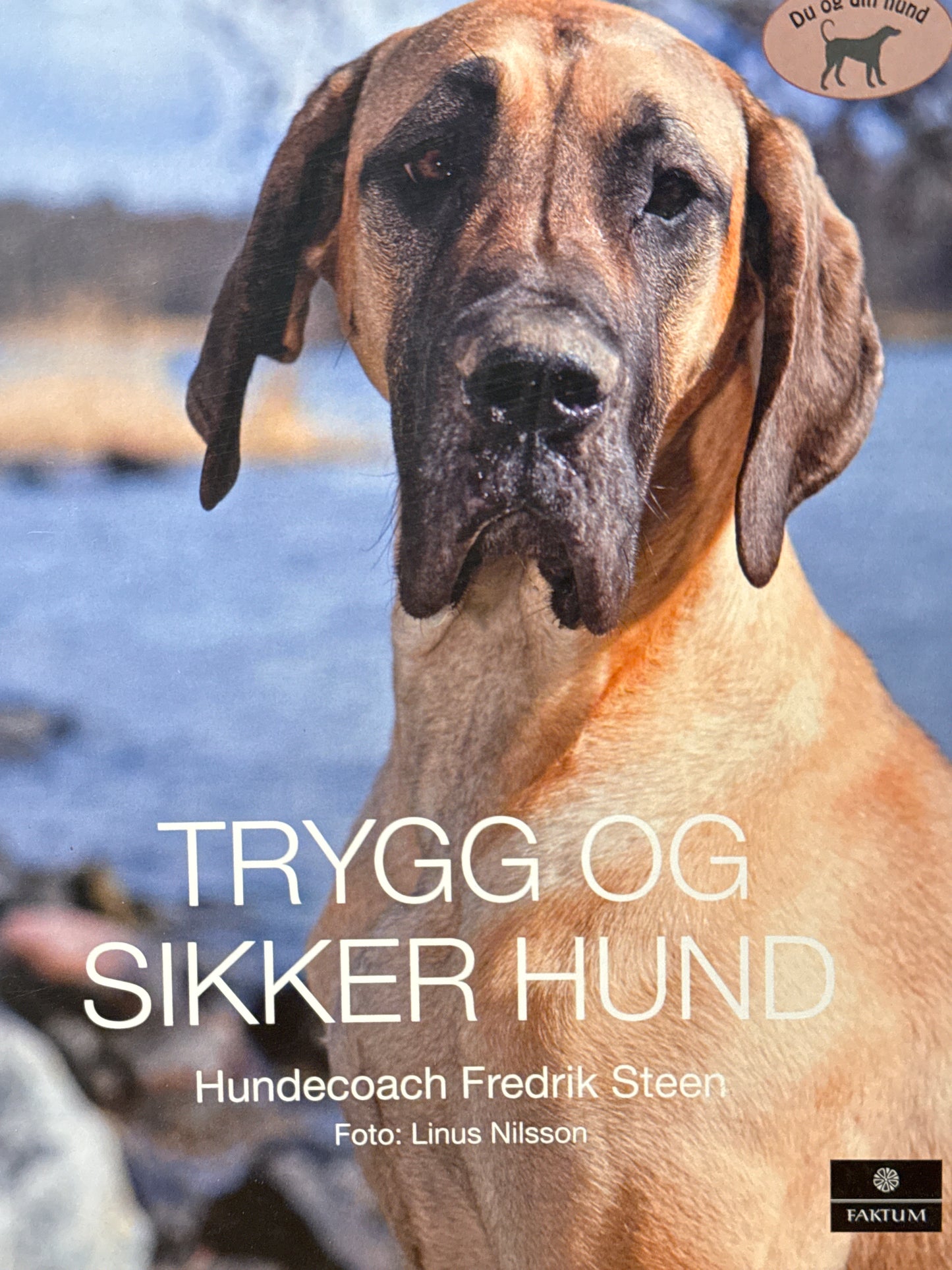 Trygg og sikker hund - Innbundet