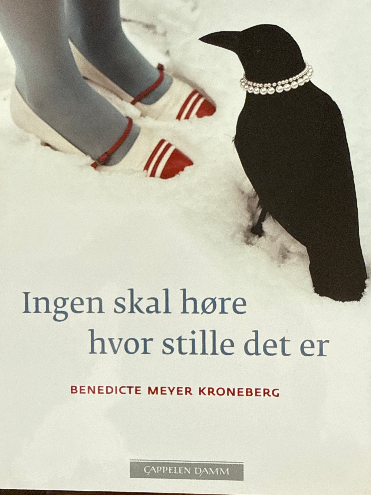 Ingen skal høre hvor stille det er - Innbundet