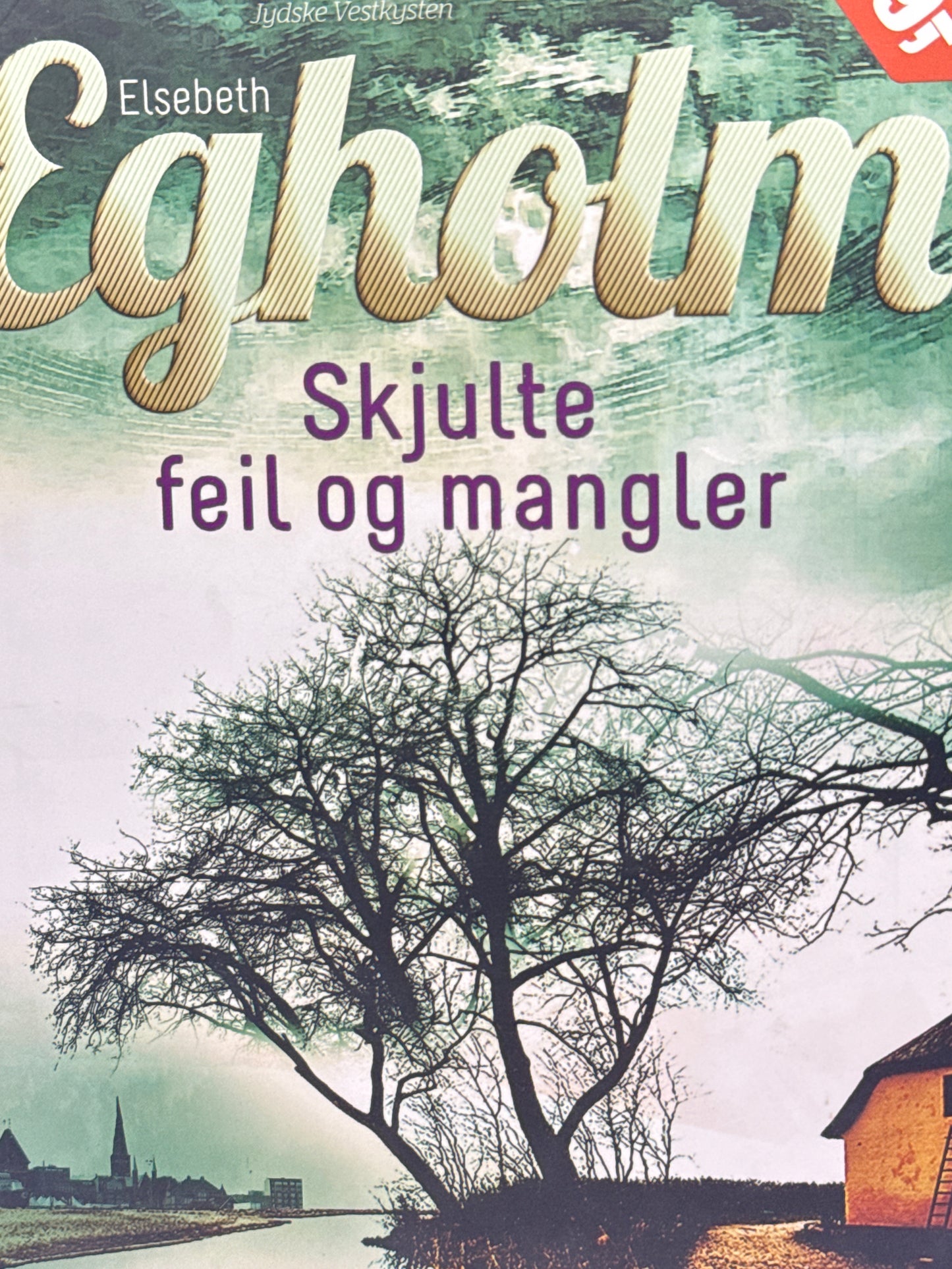 Skjulte feil og mangler - Innbundet