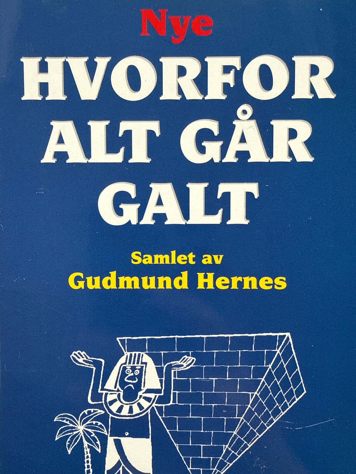 Nye hvorfor alt går galt - Pocket