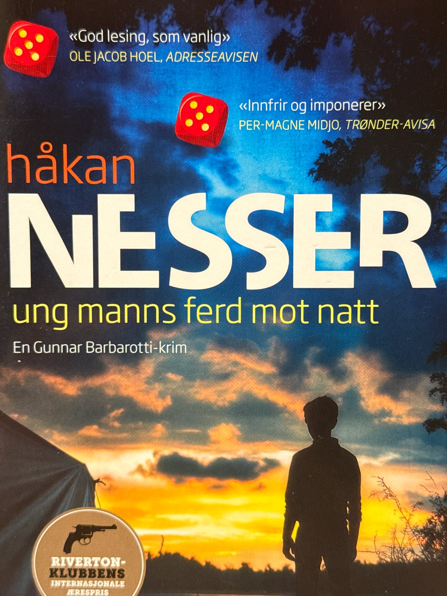 Ung manns ferd mot natt - Pocket