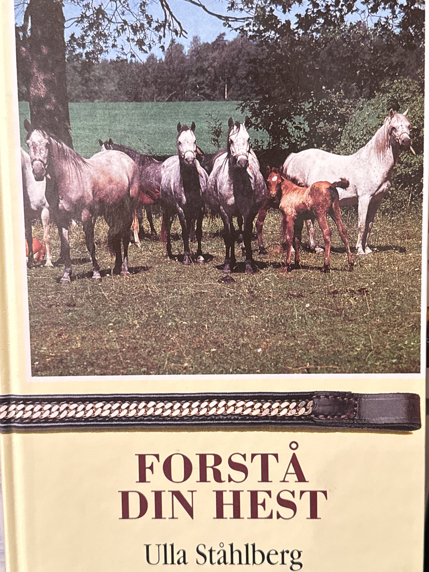 Forstå din hest - Innbundet