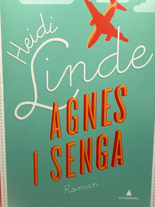 Agnes i senga - Innbundet