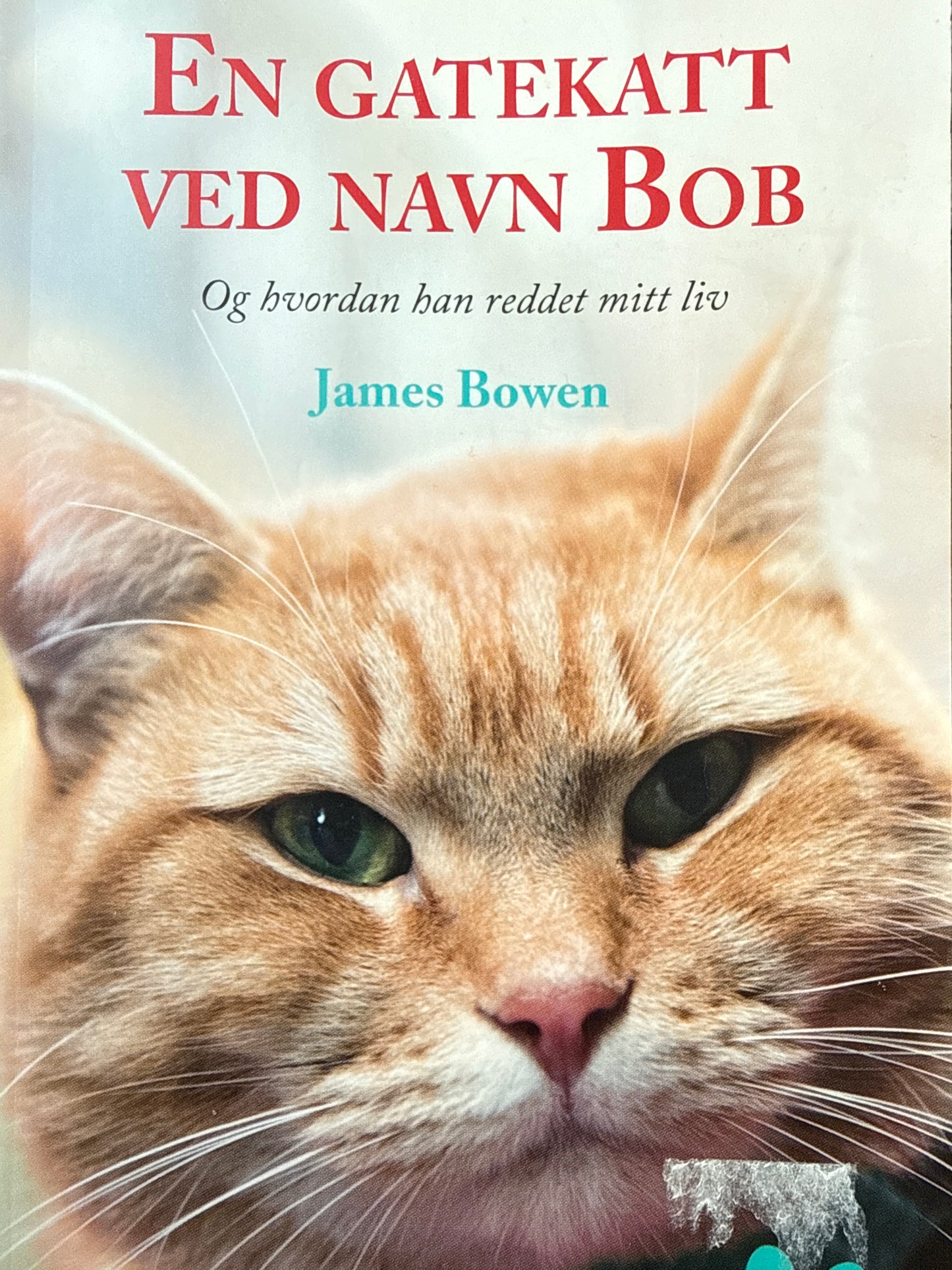 En gatekatt ved navn Bob - Pocket
