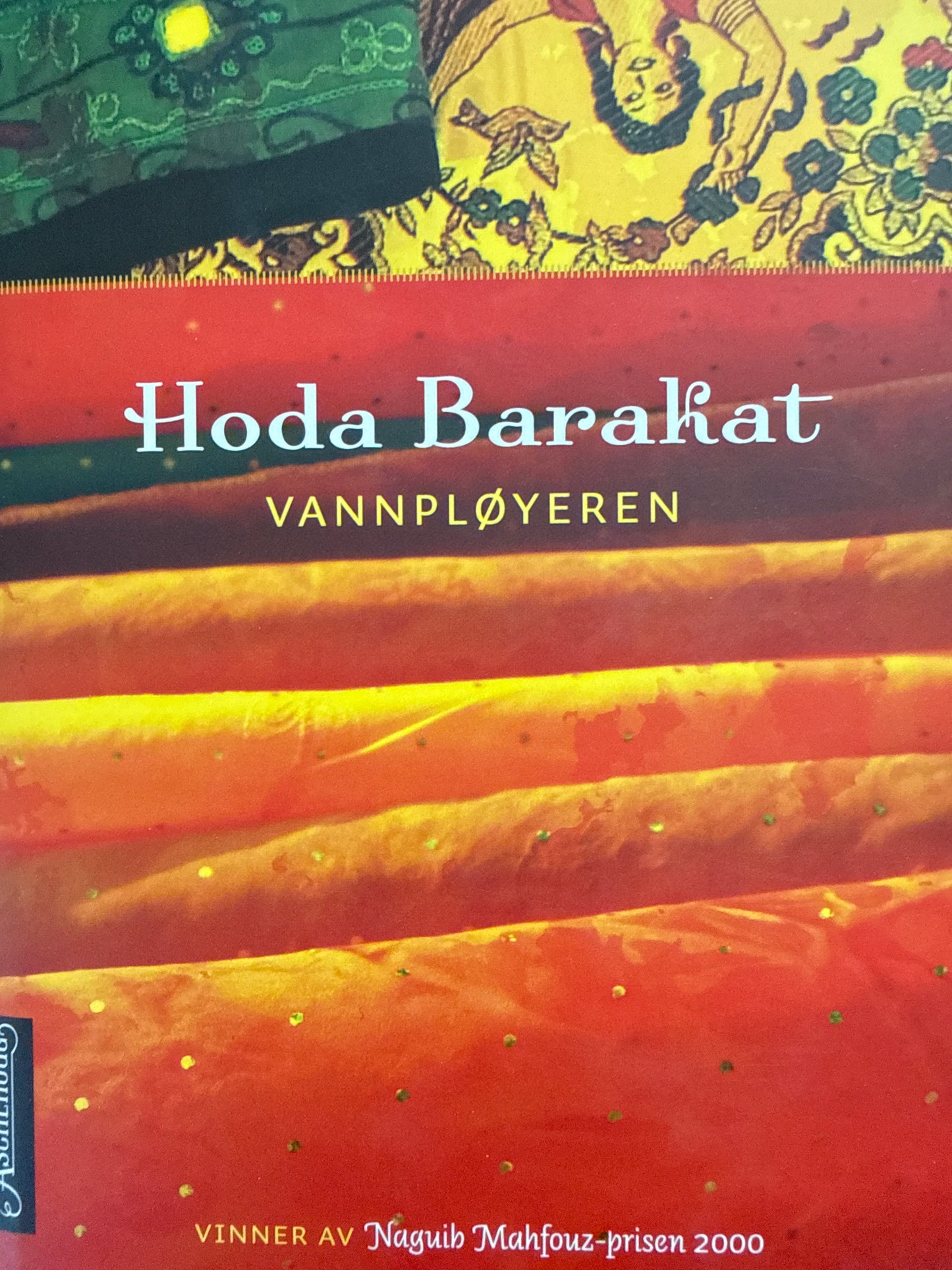 Vannpløyeren - Innbundet