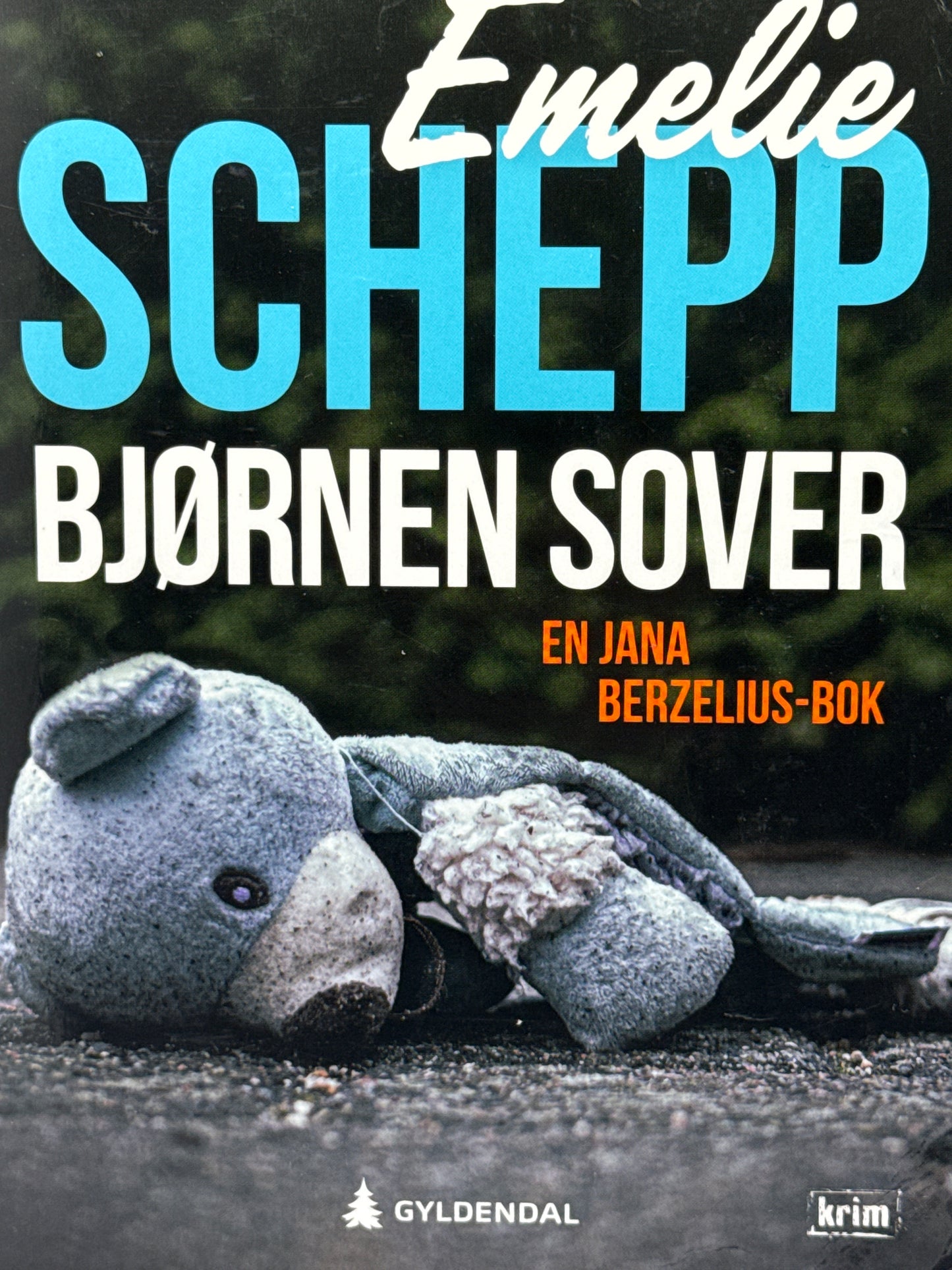 Bjørnen sover - Pocket