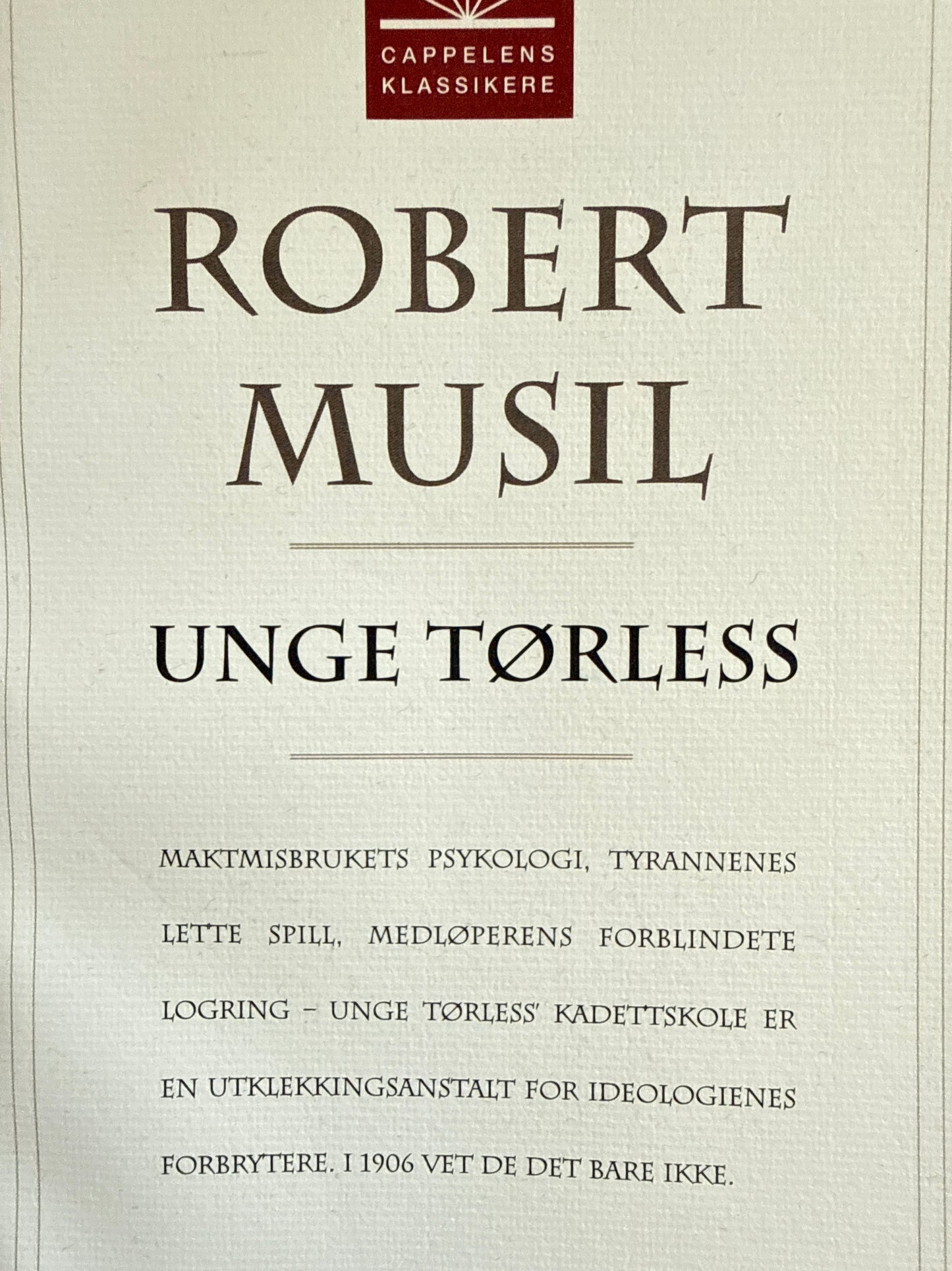 Unge Tørless - Pocket