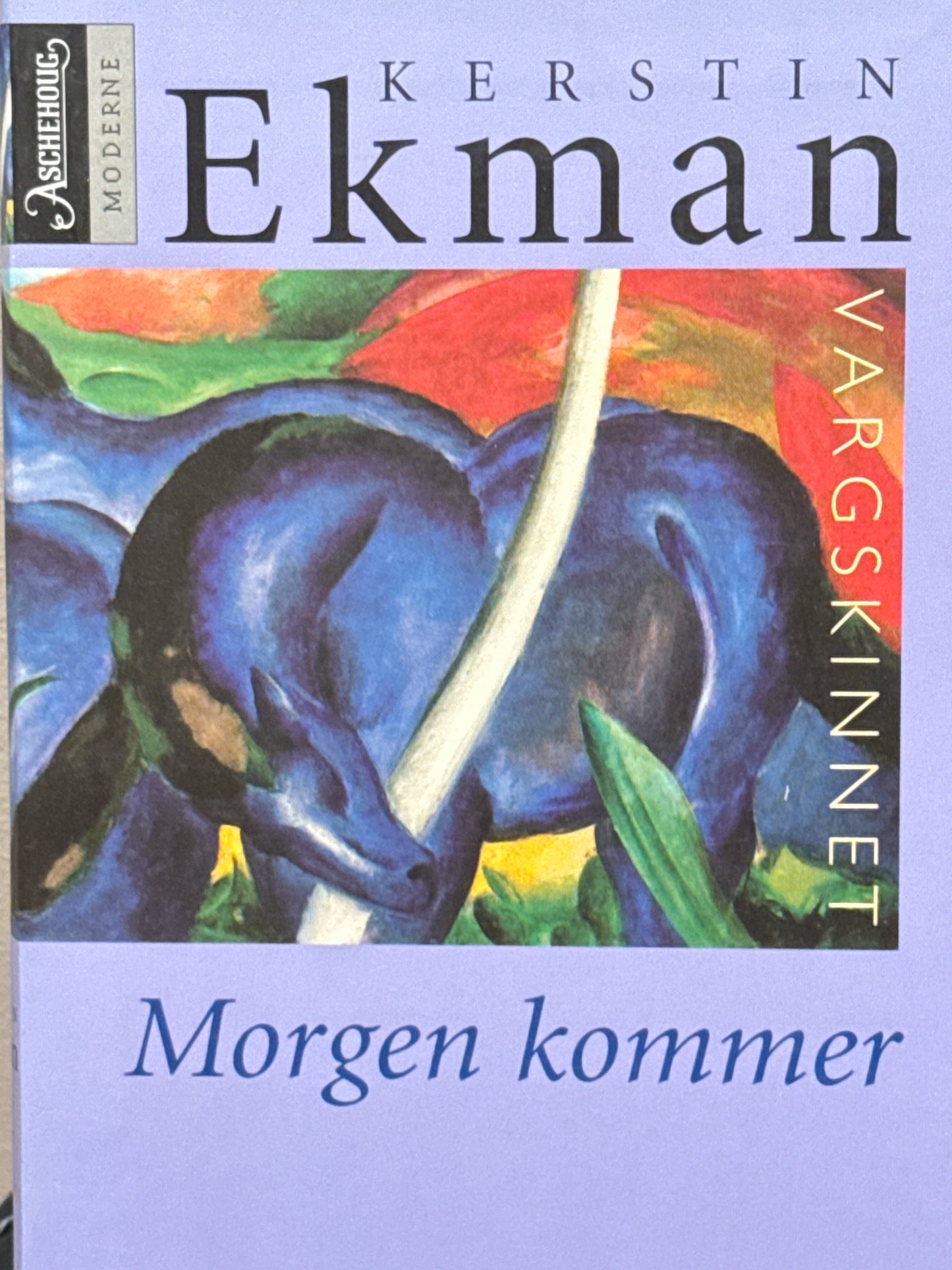 Morgen kommer - Pocket