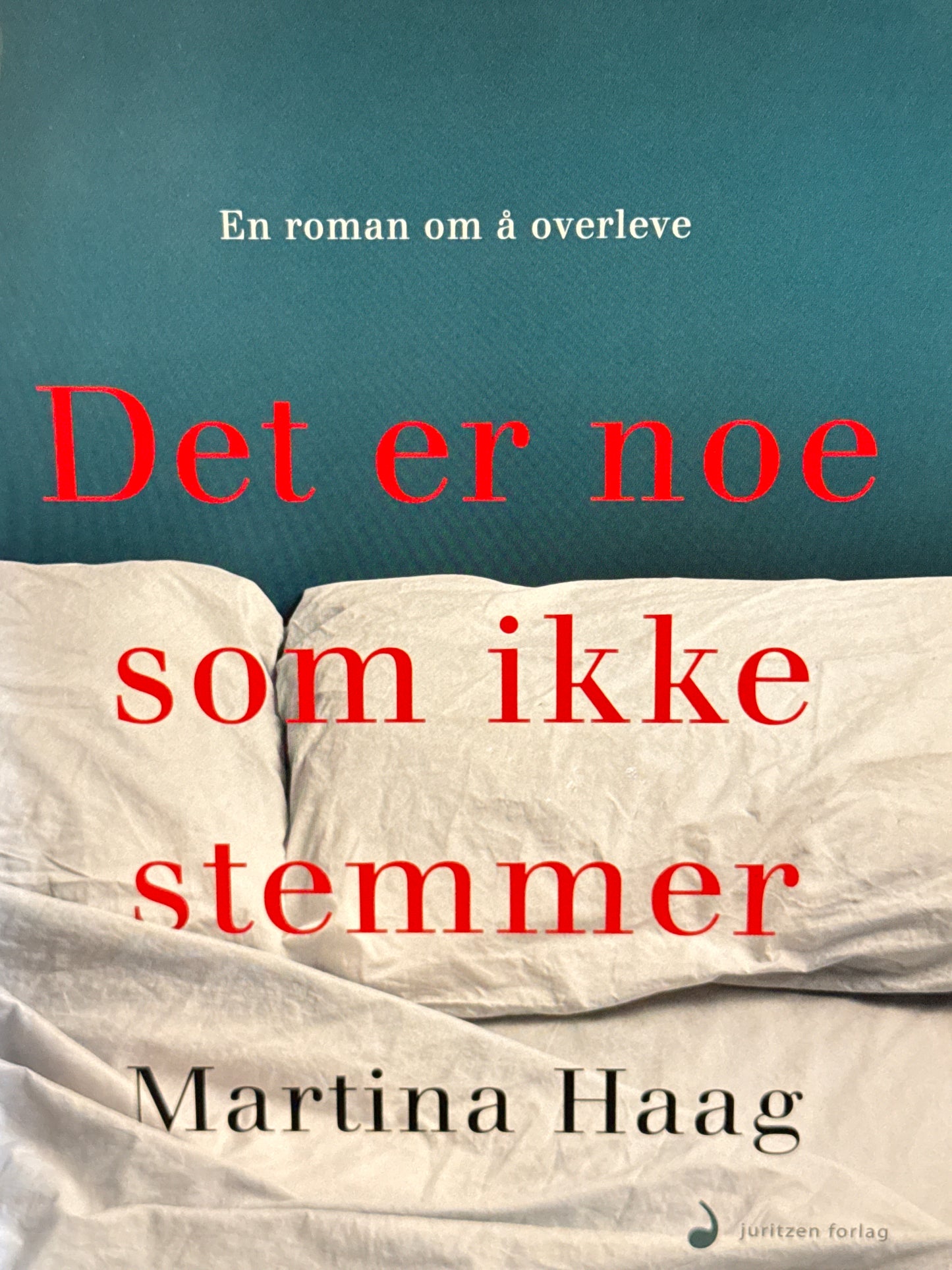 Det er noe som ikke stemmer - Innbundet