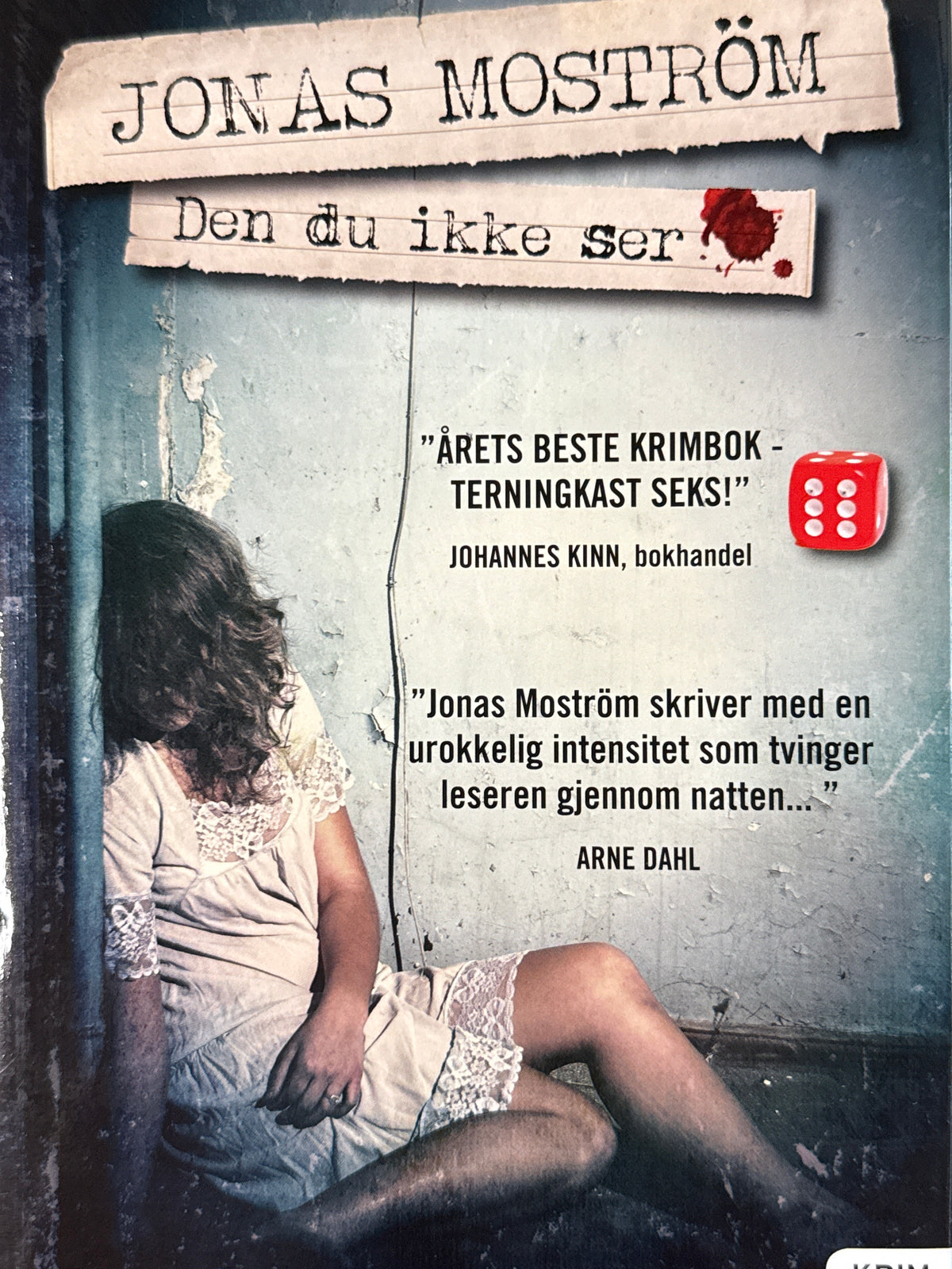 Den du ikke ser - Innbundet