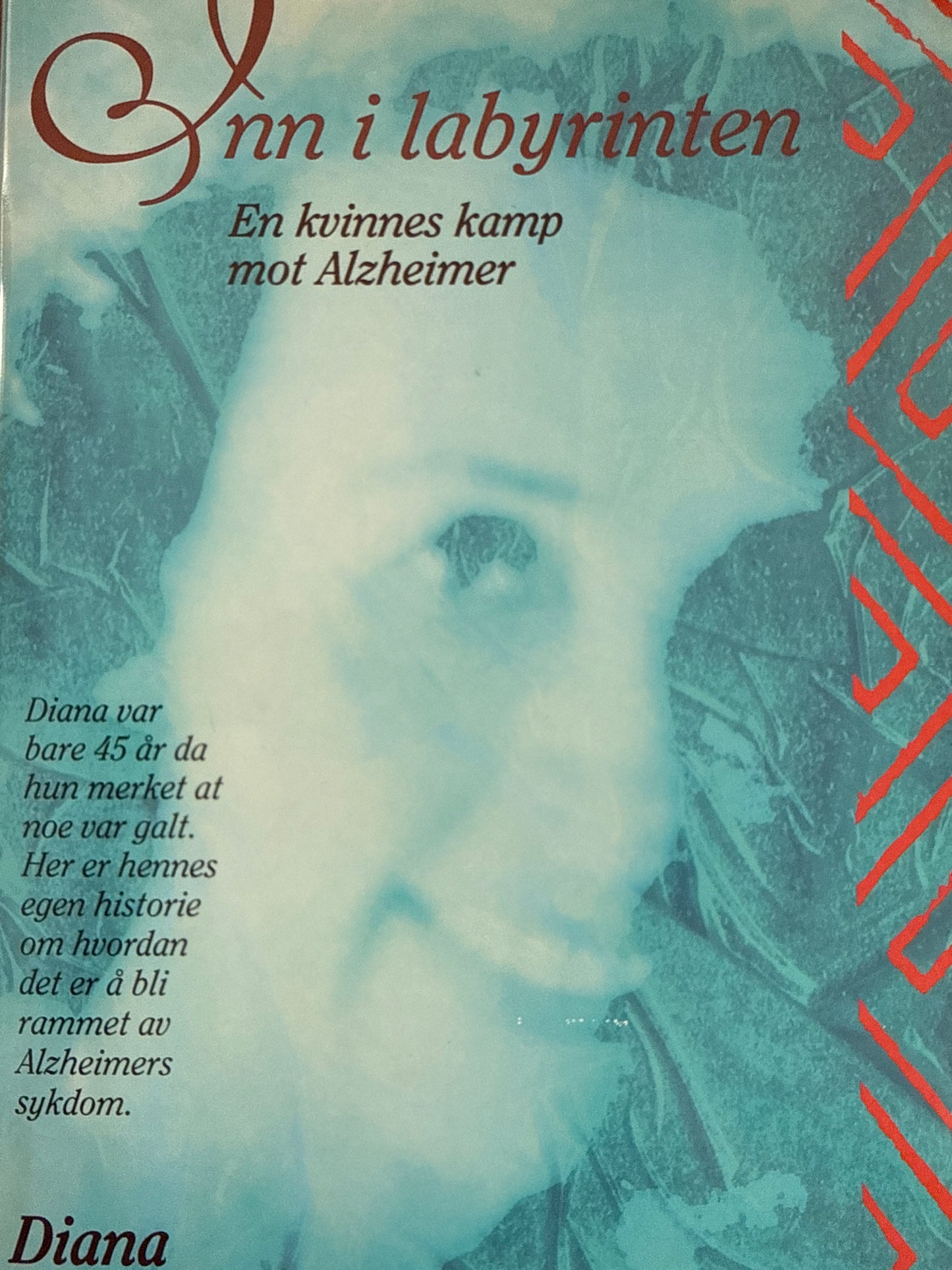 Inn i labyrinten - Innbundet
