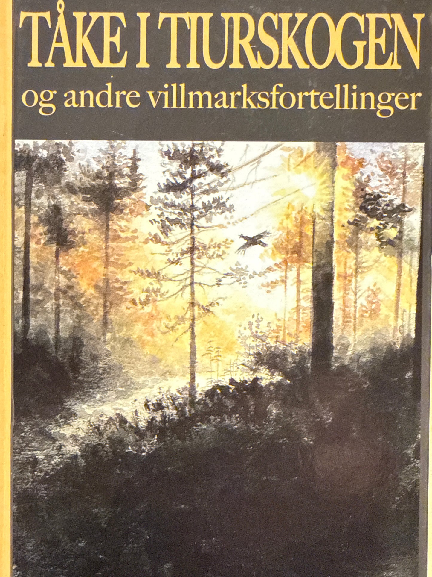 Tåke i tiurskogen og andre villmarksfortellinger - Innbundet