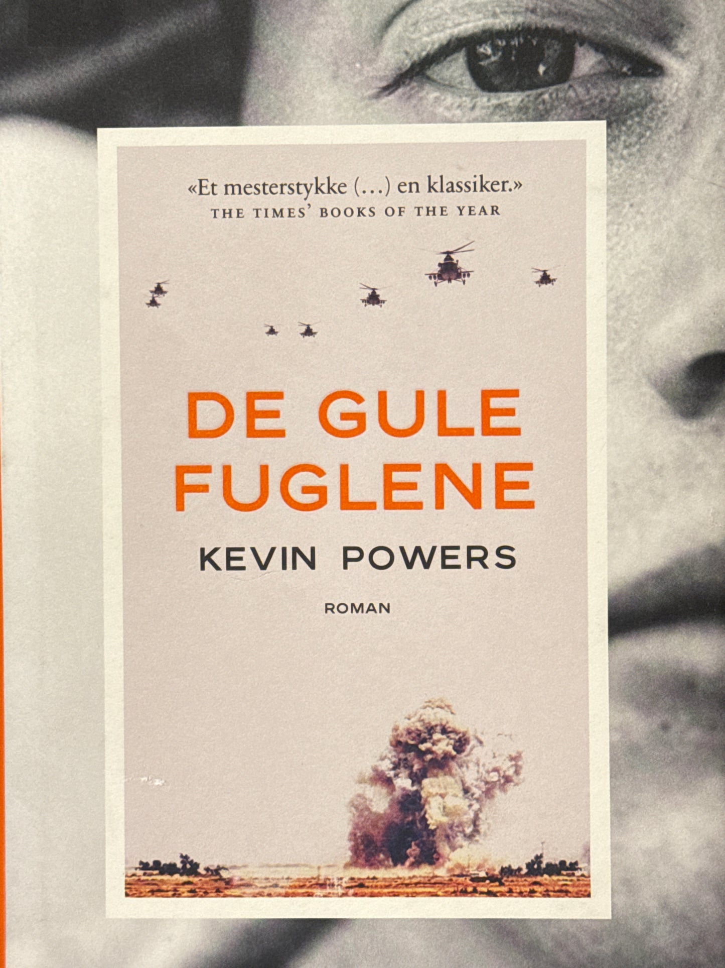 De gule fuglene - Innbundet
