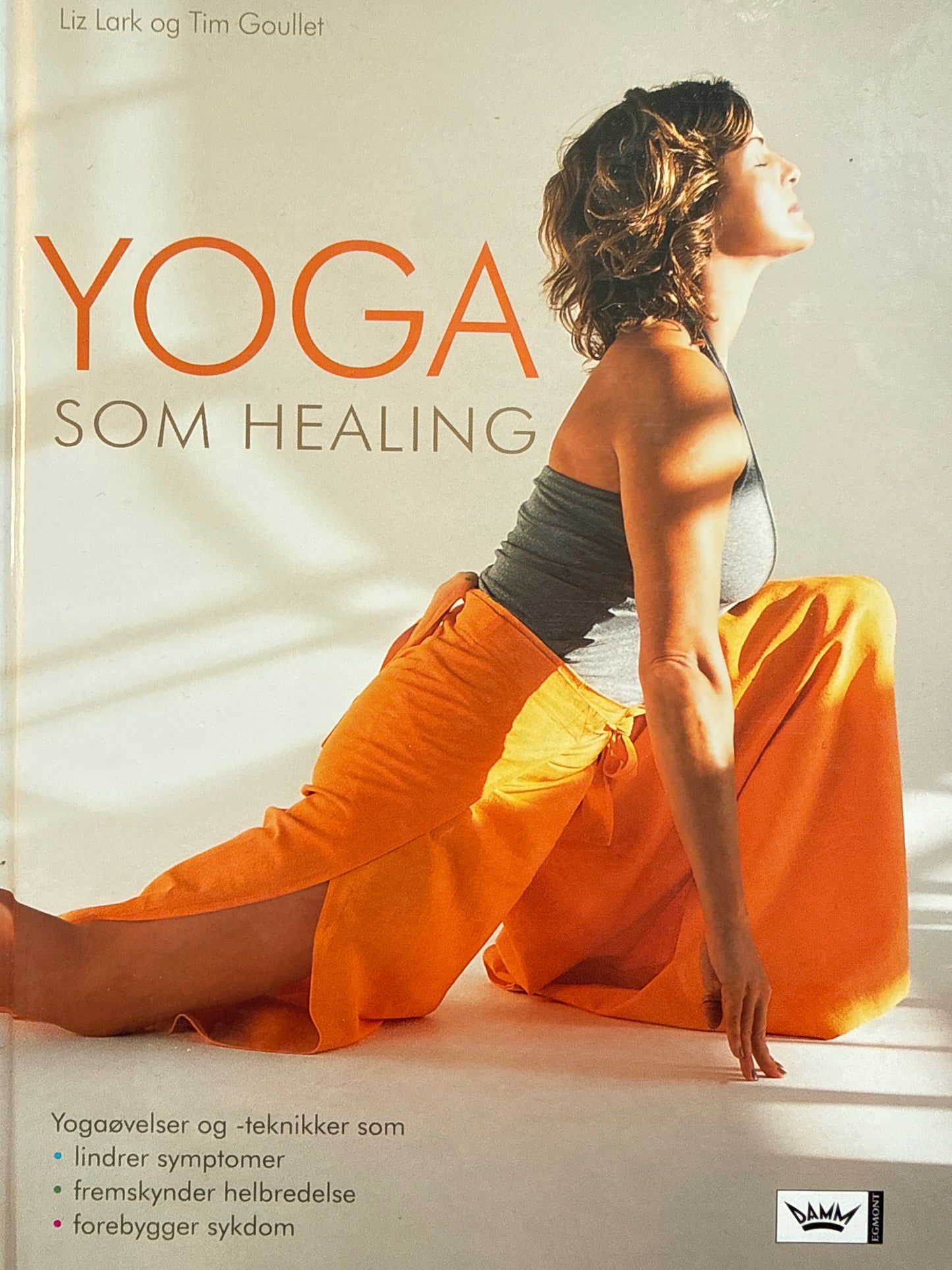 Yoga som healing - Innbundet