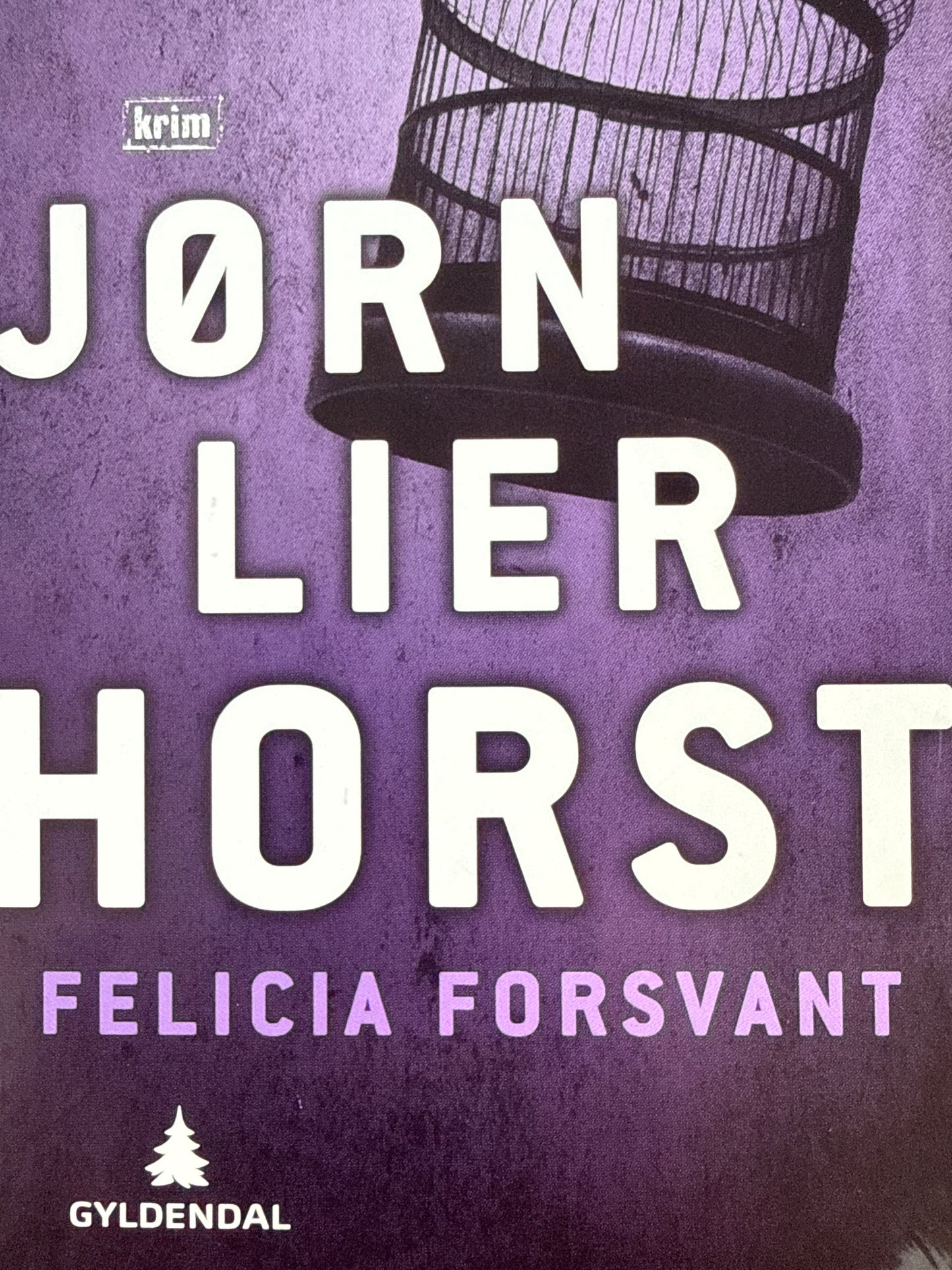 Felicia forsvant - Pocket
