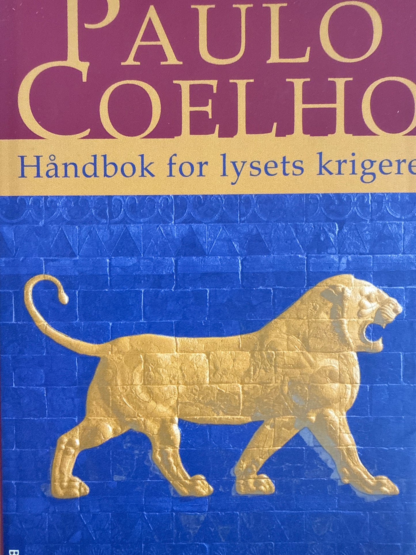 Håndbok for lysets krigere - Innbundet