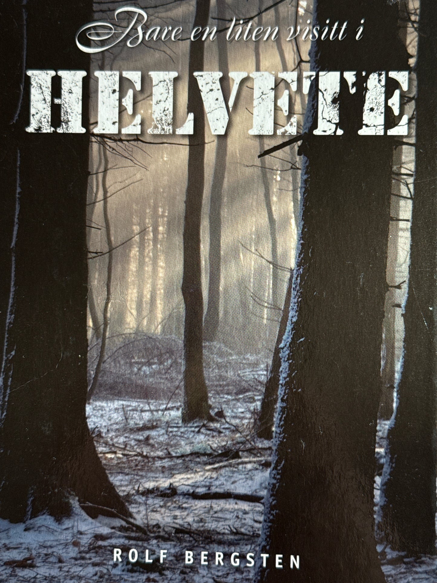 Bare en liten visitt i helvete - Innbundet