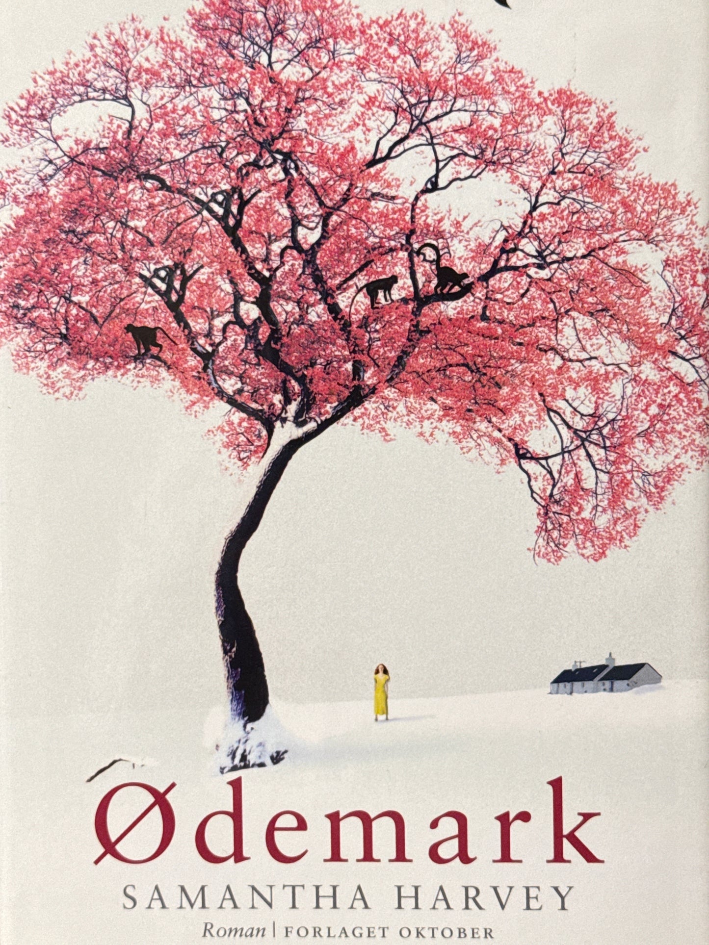 Ødemark - Innbundet
