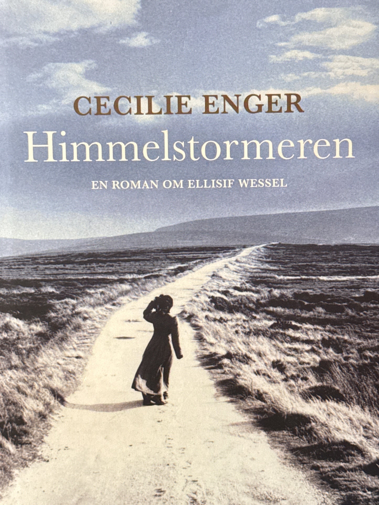 Himmelstormeren - Innbundet