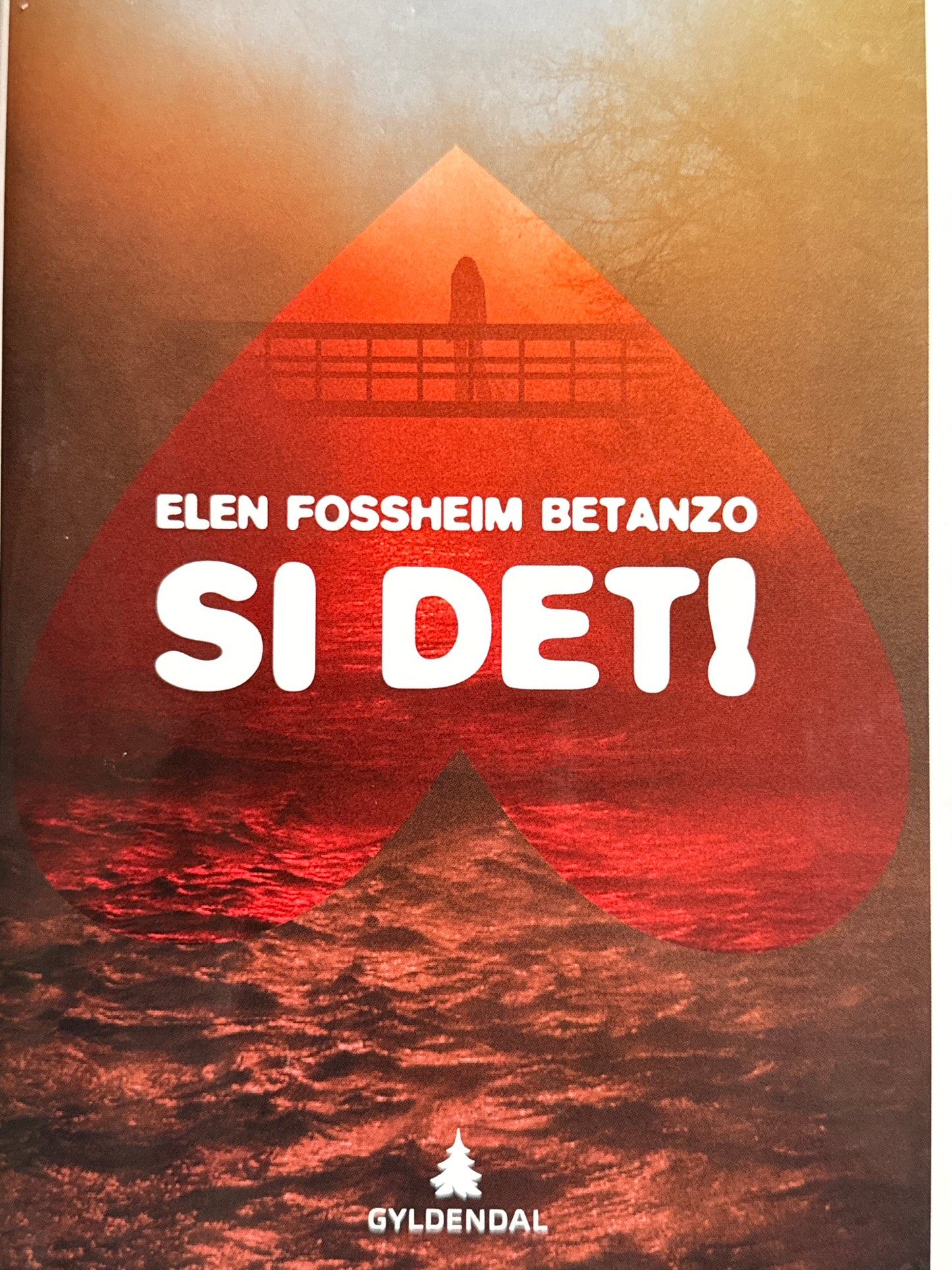 Si det! - Innbundet