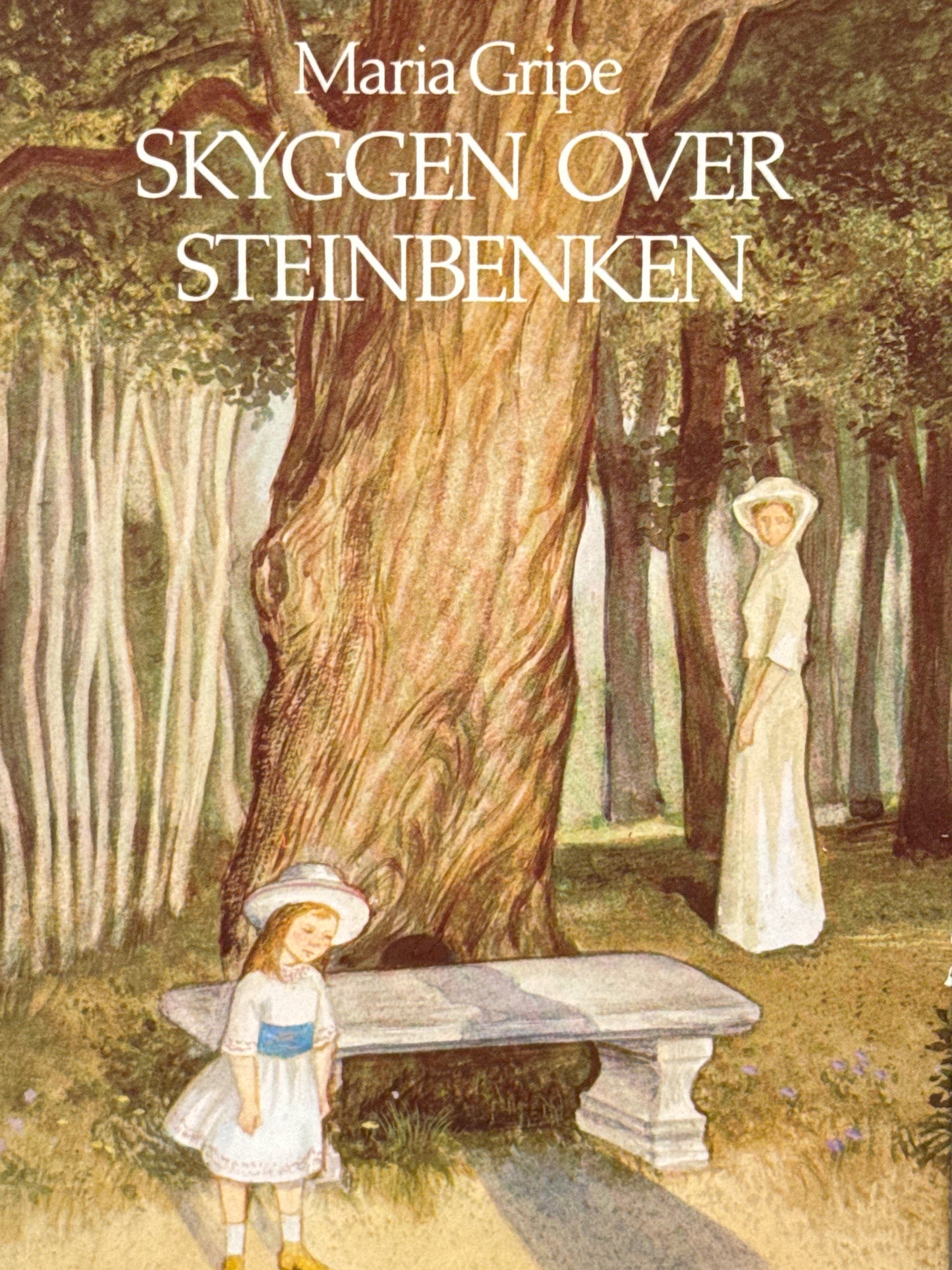 Skyggen over steinbenken - Innbundet