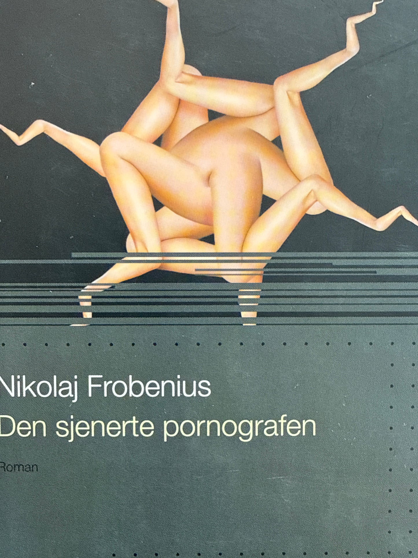 Den sjenerte pornografen - Innbundet