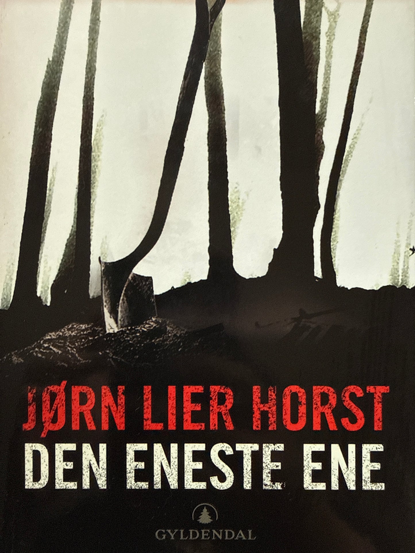Den eneste ene - Innbundet