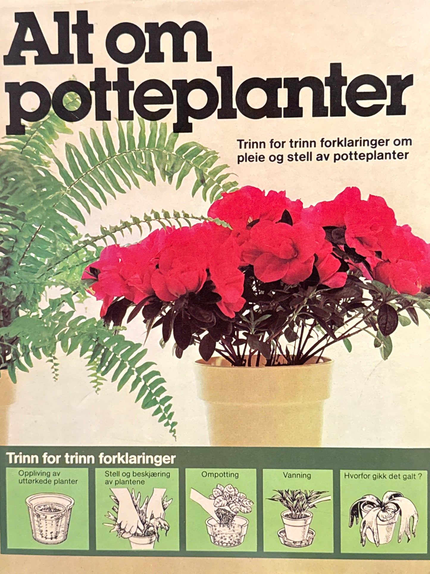Alt om potteplanter - Innbundet