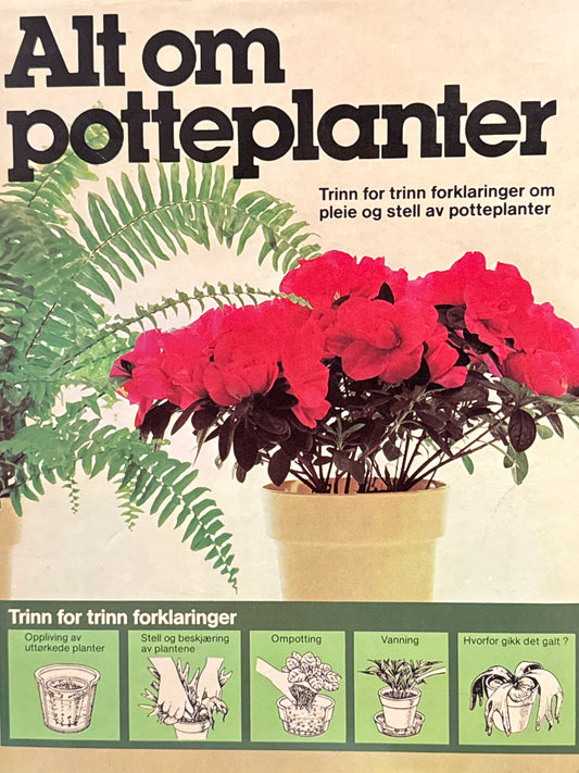 Alt om potteplanter - Innbundet