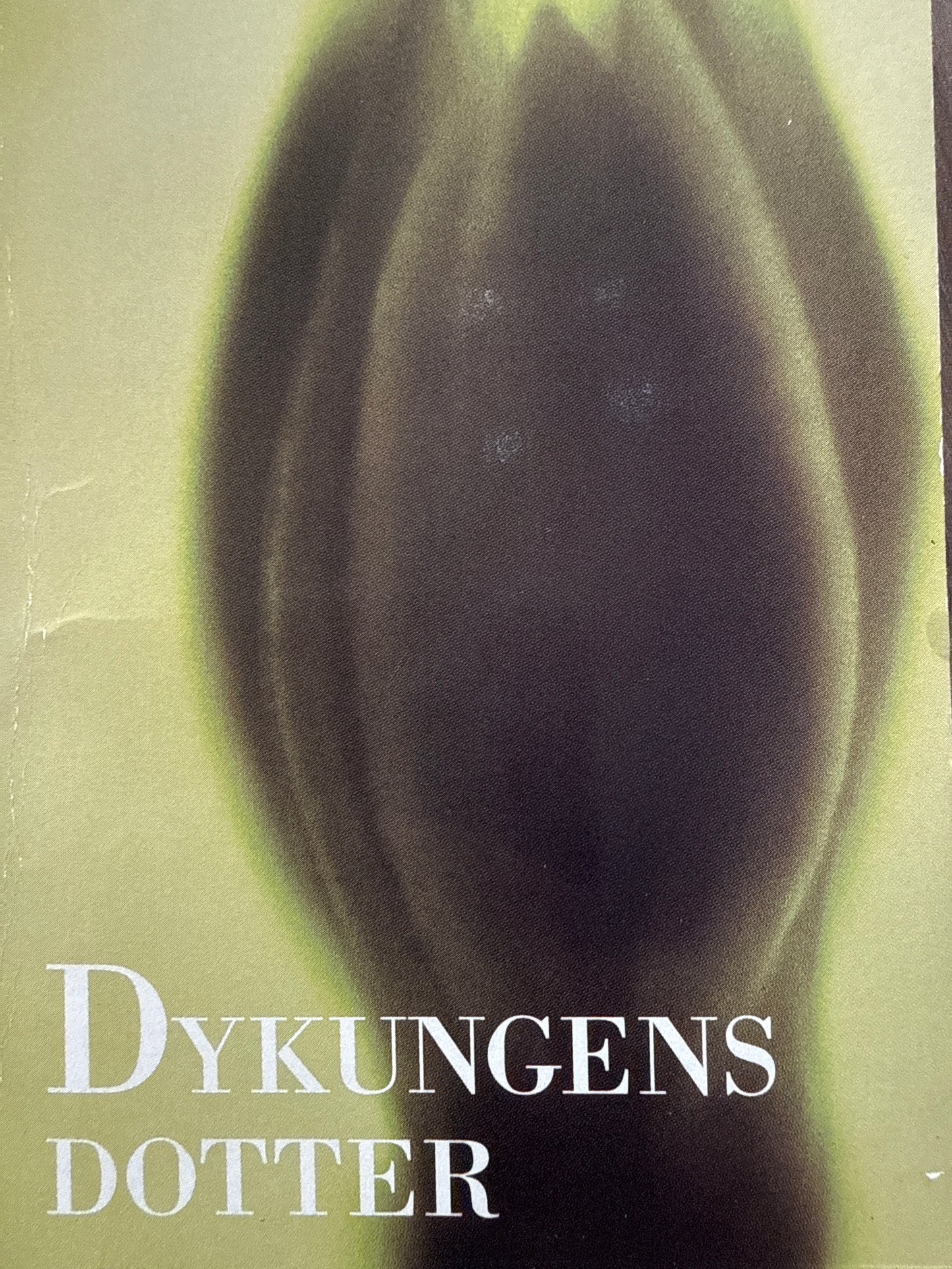 Dykungens dotter - Pocket