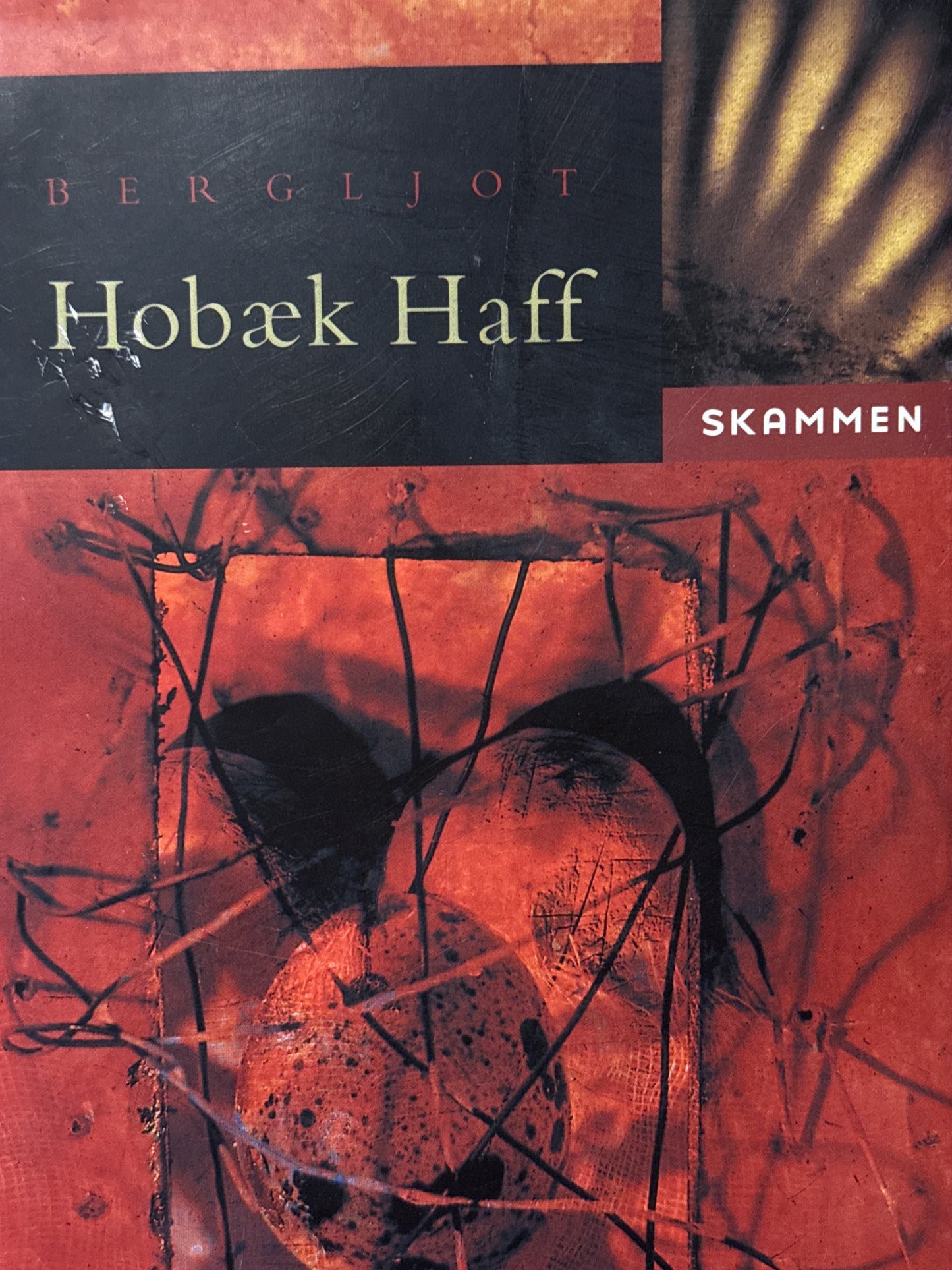 Skammen - Innbundet