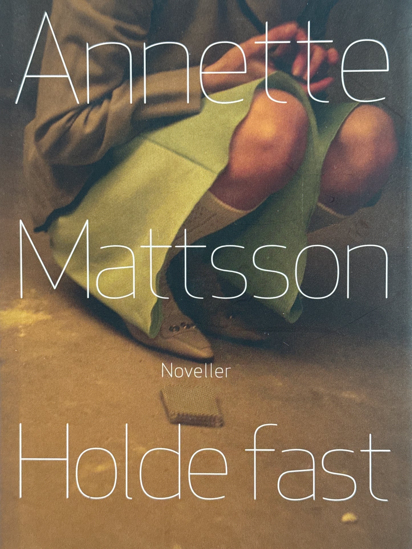 Holde fast - Innbundet