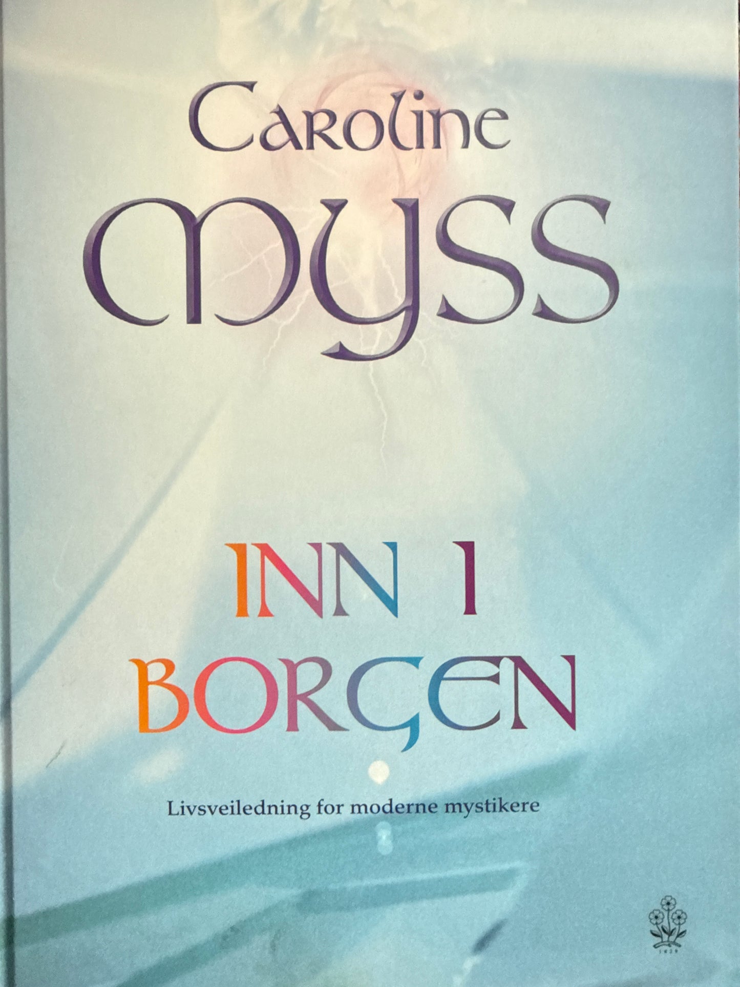 Inn i borgen - Innbundet